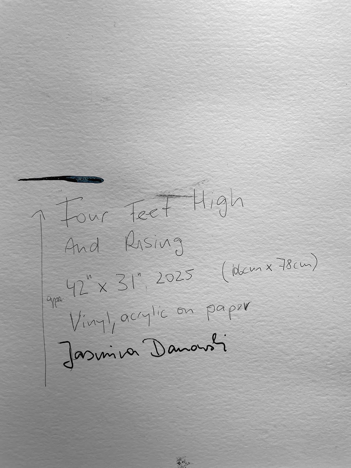 18684, Jasmina Danowski, Four Feet High and Rising, 2025