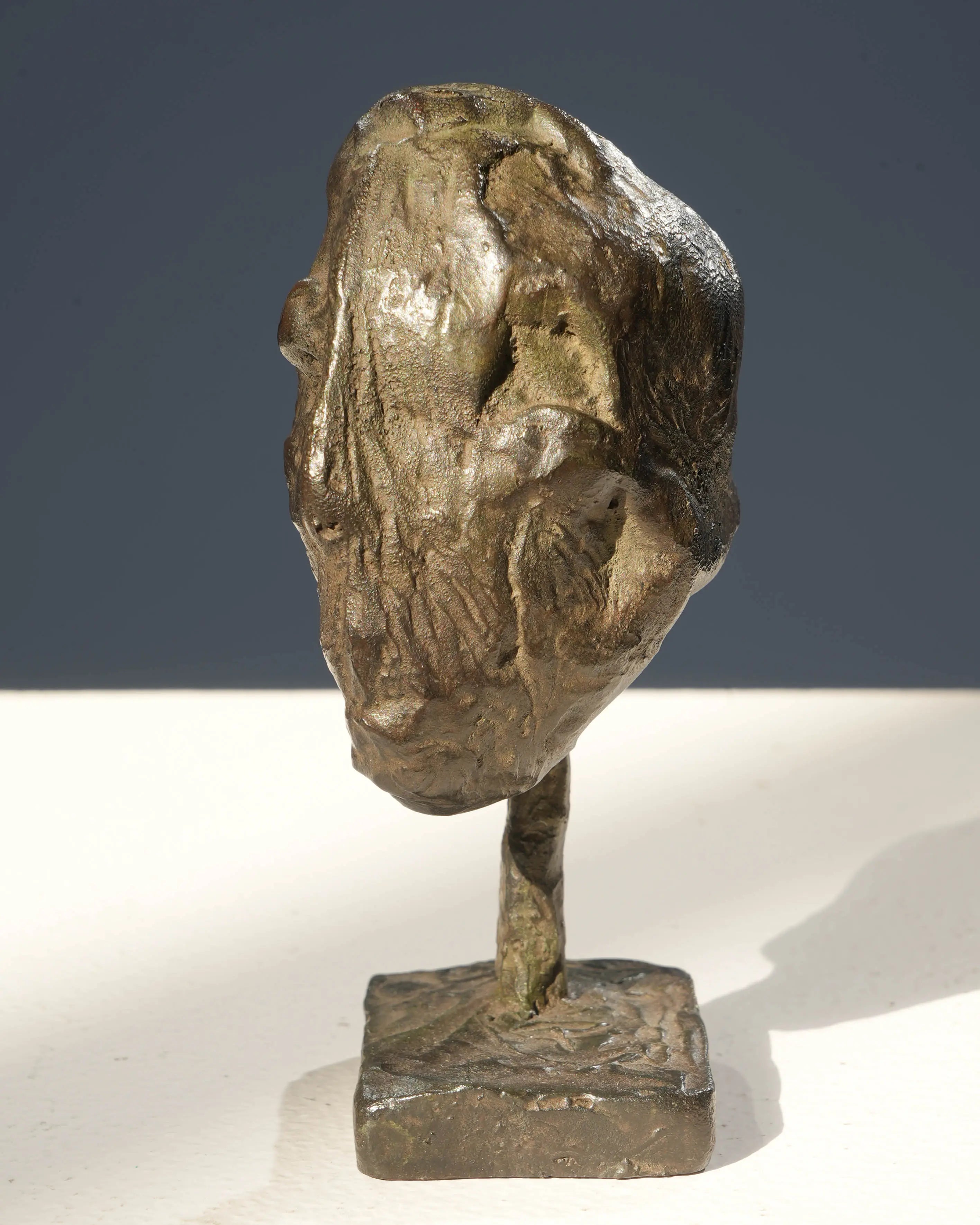 18847, Marc Petit, Tete V, 2002