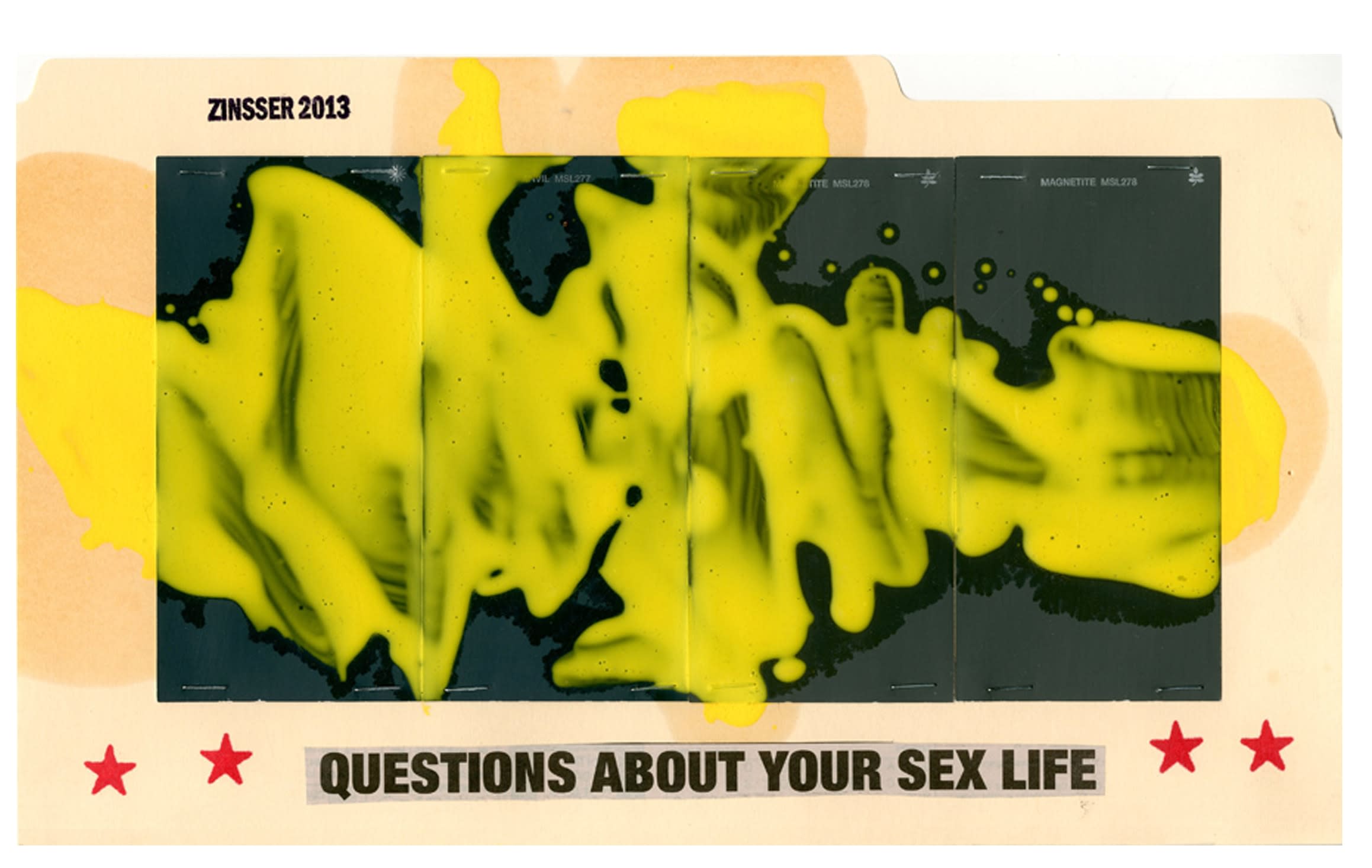14386, John Zinsser, File Study: Questions About Your Sex Life, 2013