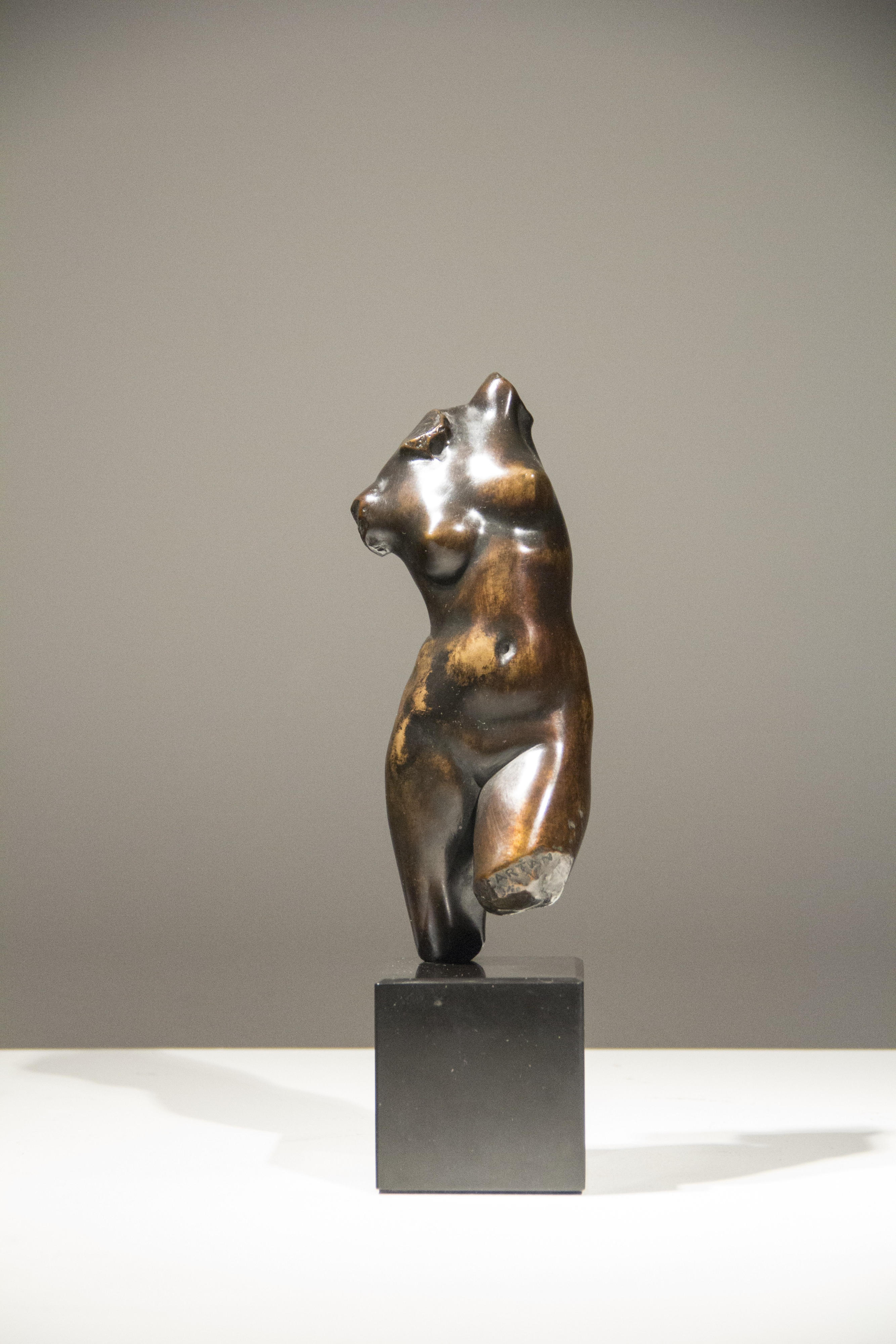 15189, Edward McCartan, Diana Torso