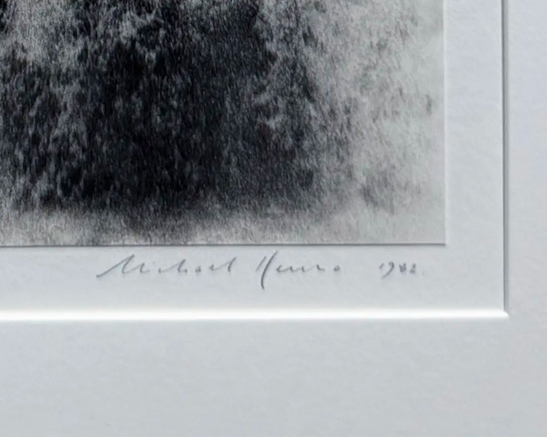 18897, Michael Kenna, Steps, Marin County, California, 1982, printed 1996