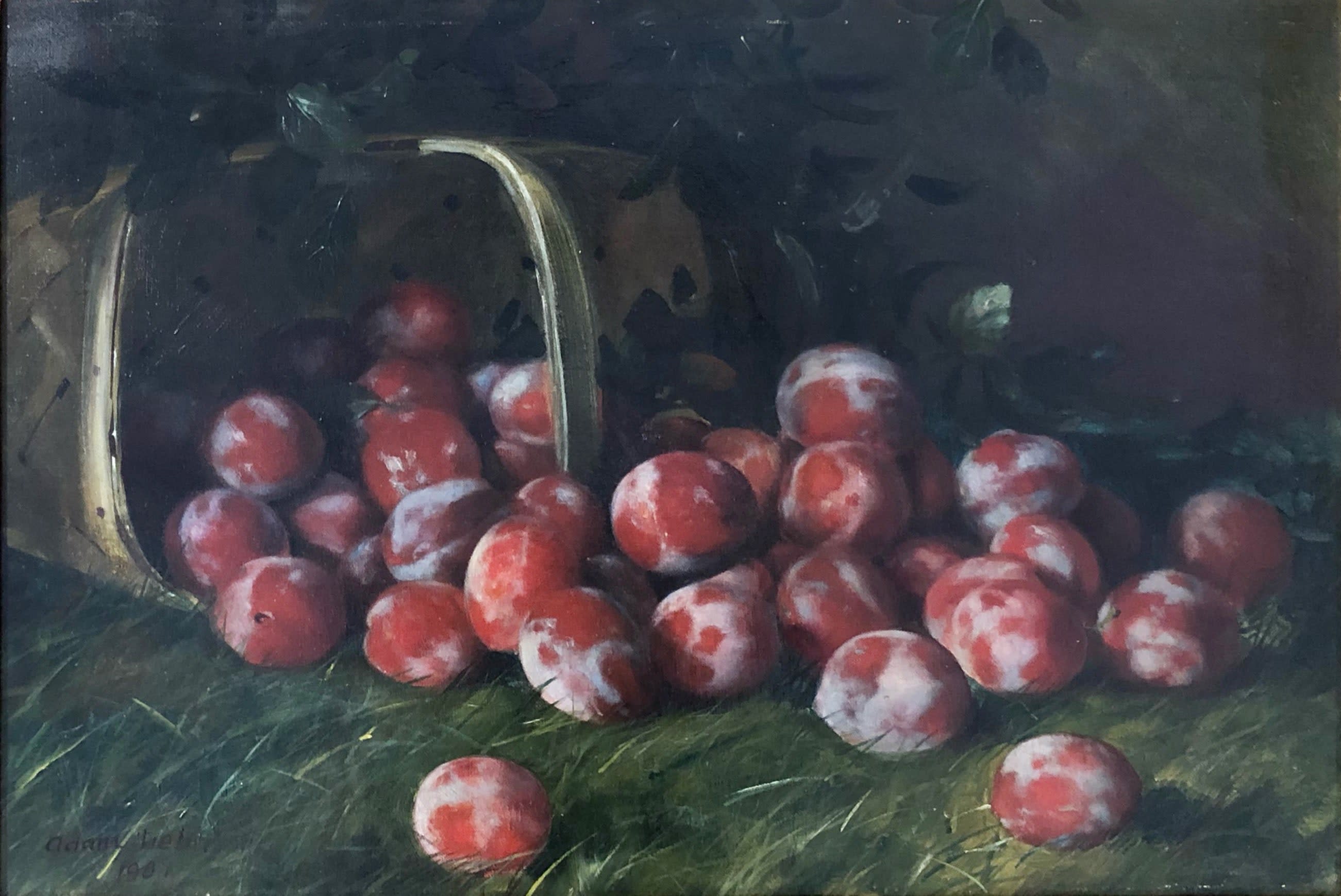 17108, Adam Lehr, Les Gros Prunes, 1901