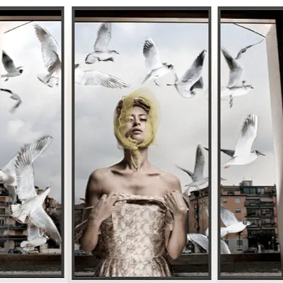 17430, Formento & Formento, Lulu’s Seagulls, Verona, (A Tryptic), 2018