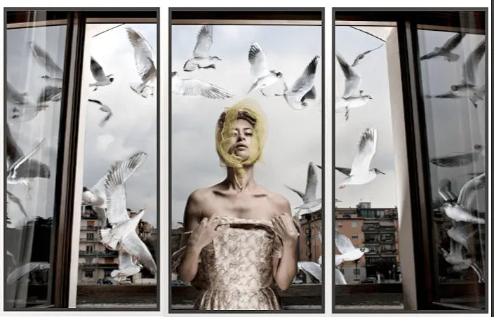 17430, Formento & Formento, Lulu’s Seagulls, Verona, (A Tryptic), 2018