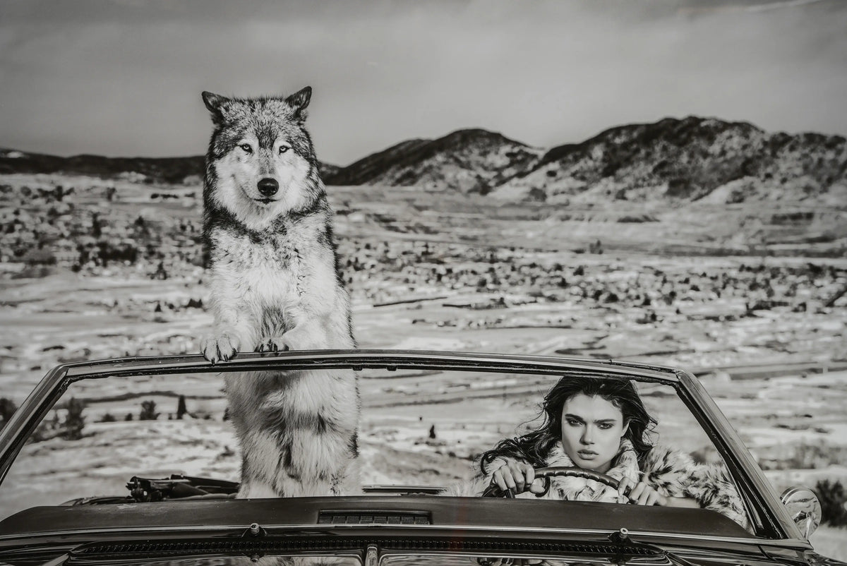 18930, David Yarrow, The Richest Hill in the World, 2020