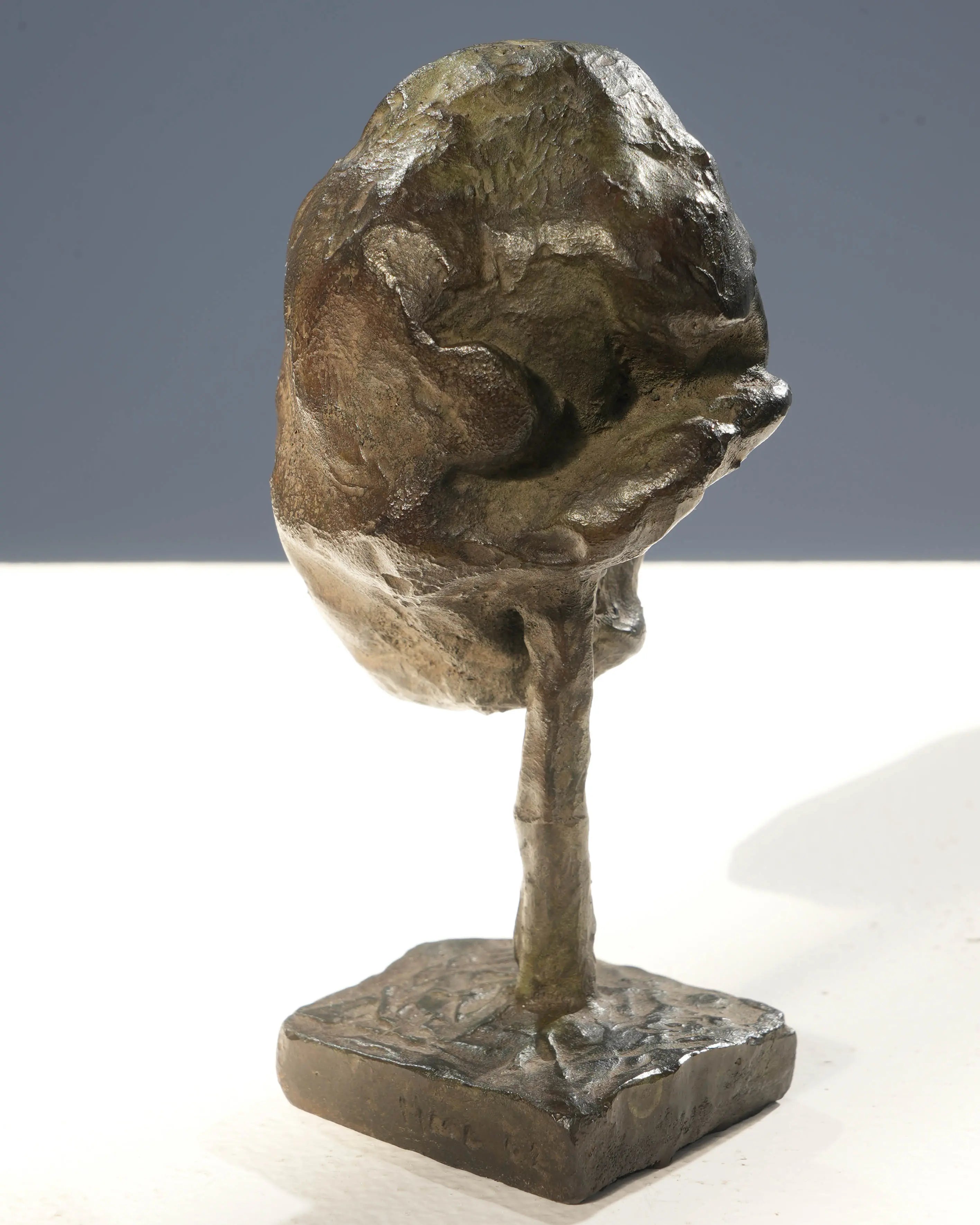 18847, Marc Petit, Tete V, 2002