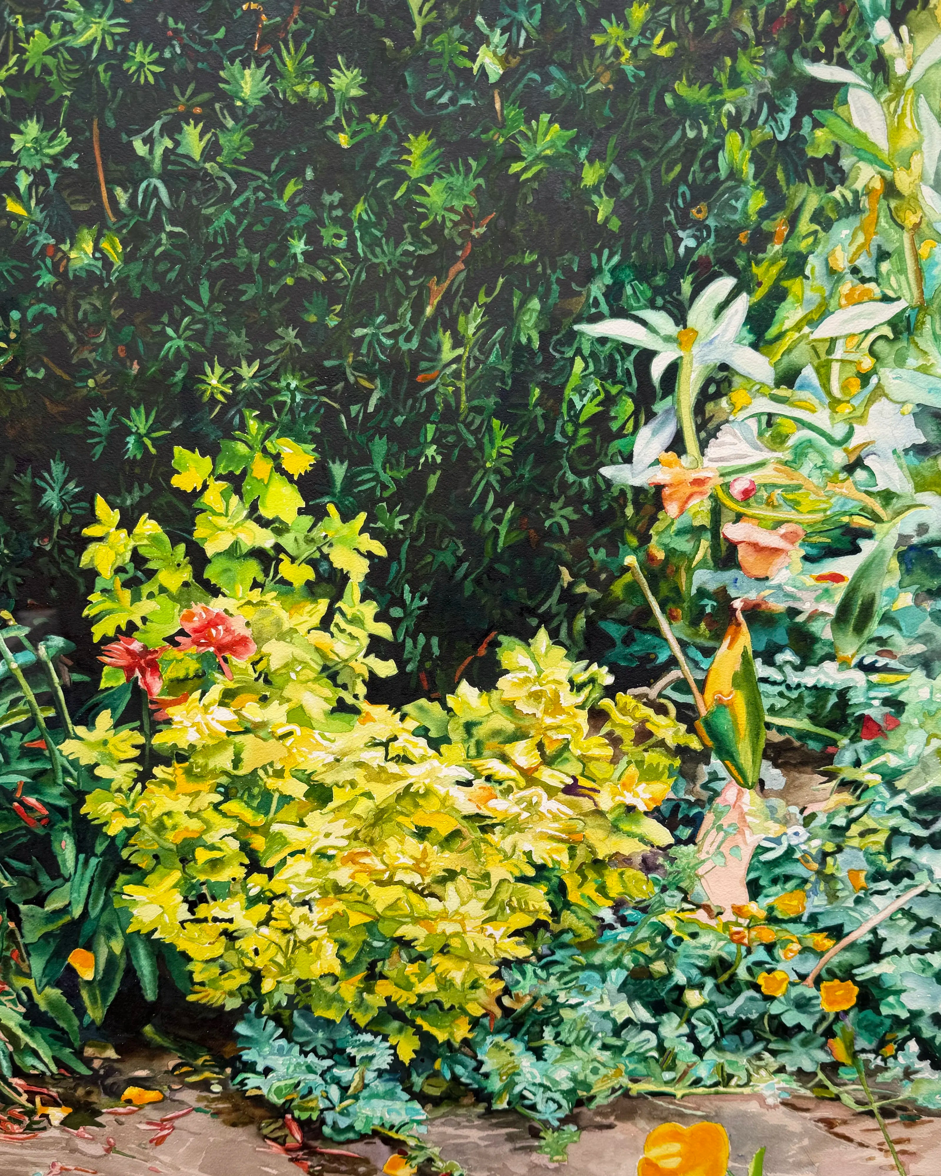 18843, Carolyn Brady, Cottage Garden/Sissinghurst, 1995