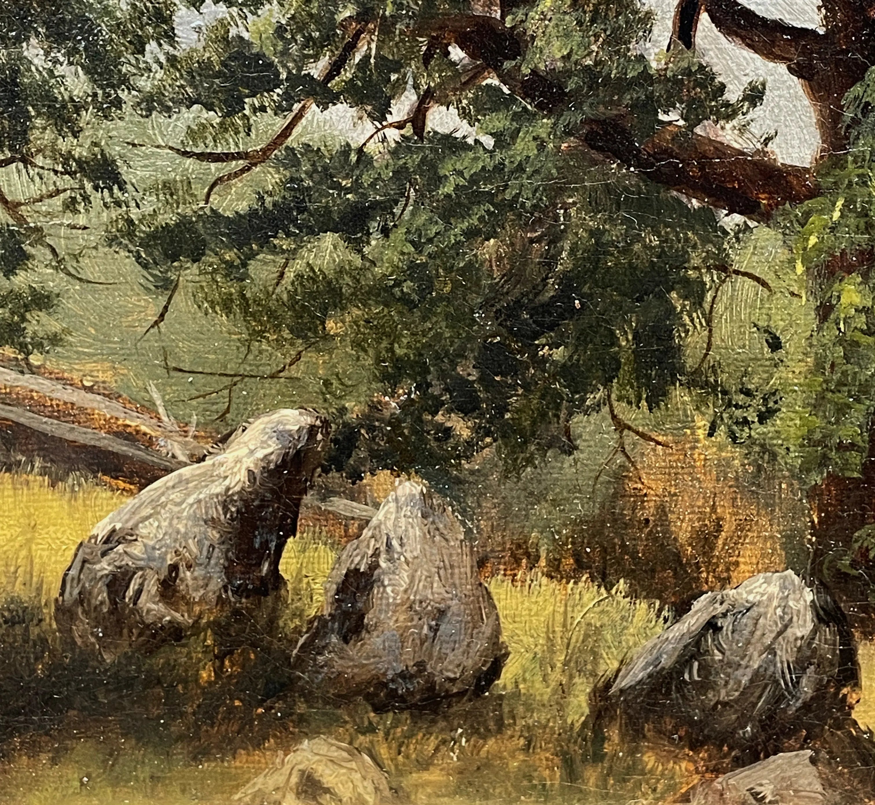 14996, Thomas Worthington Whittredge, Tree Study, Lake George, late 1860's