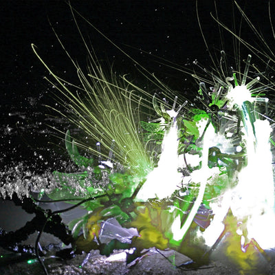15394, Disney NASA Borg (dNASAb), Emergent Ecological Technologies # 2, 2009