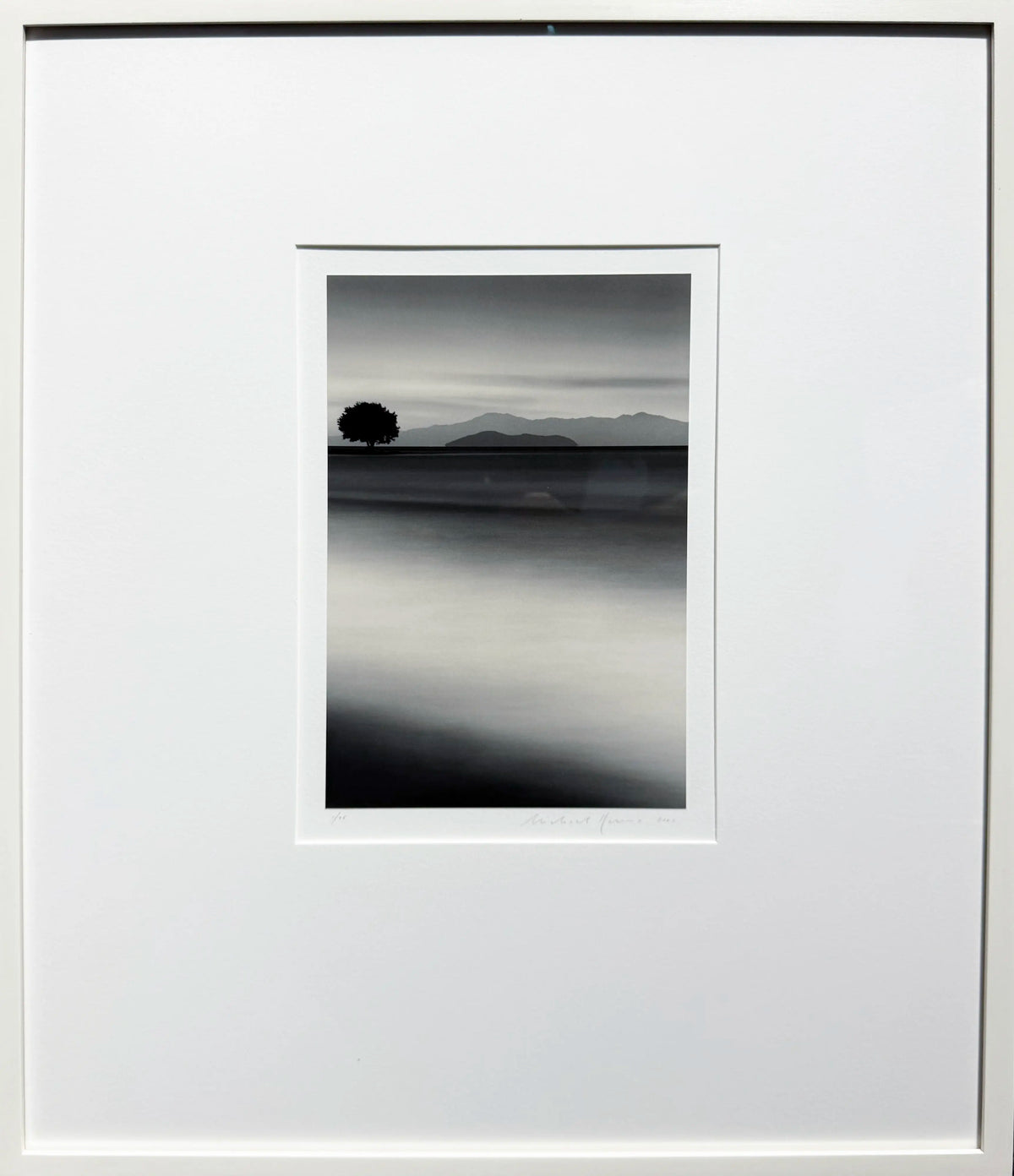 18901, Michael Kenna, Biwa Lake Tree, Omi, Japan, 2001