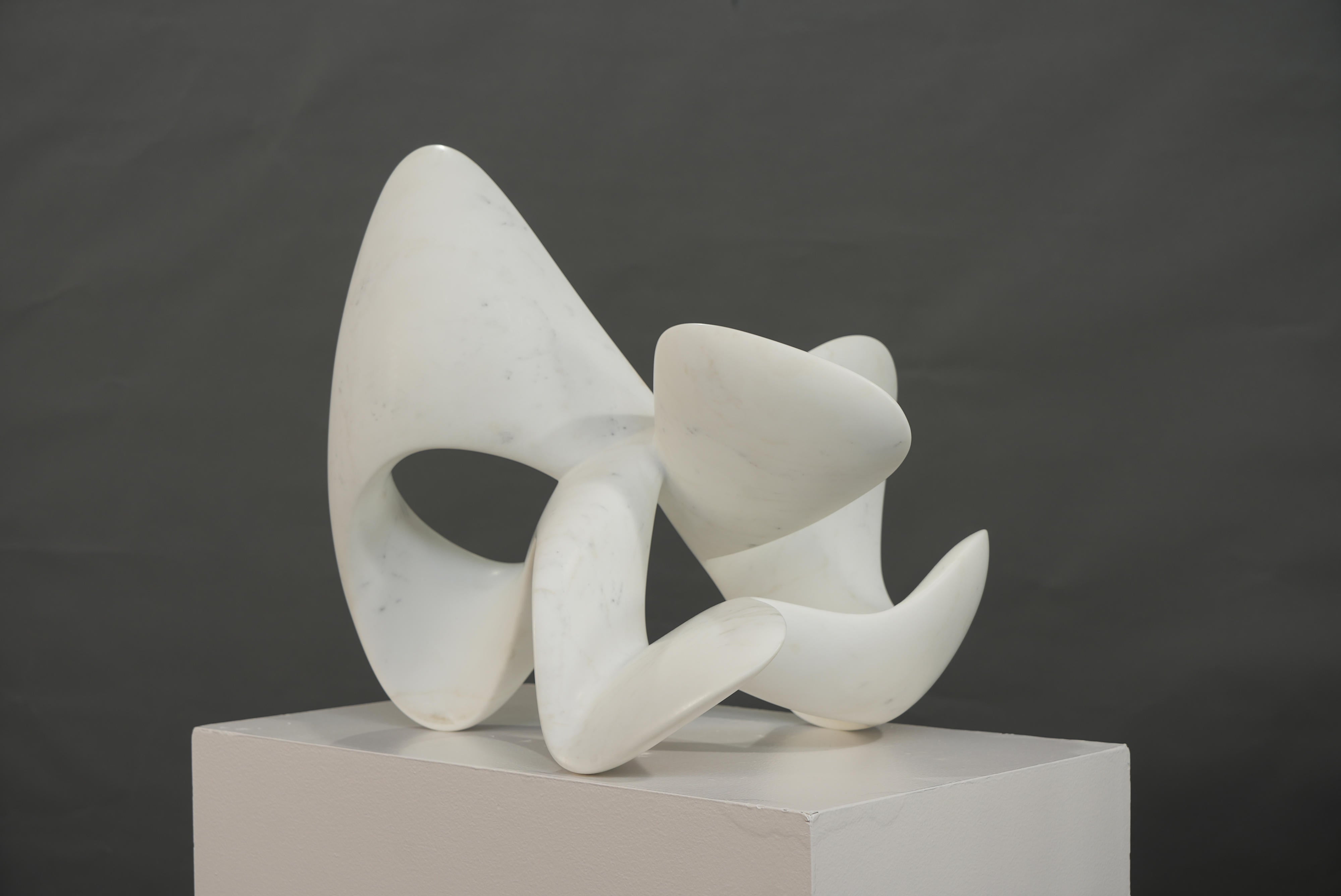 18775, Richard Erdman, Umba, 2024