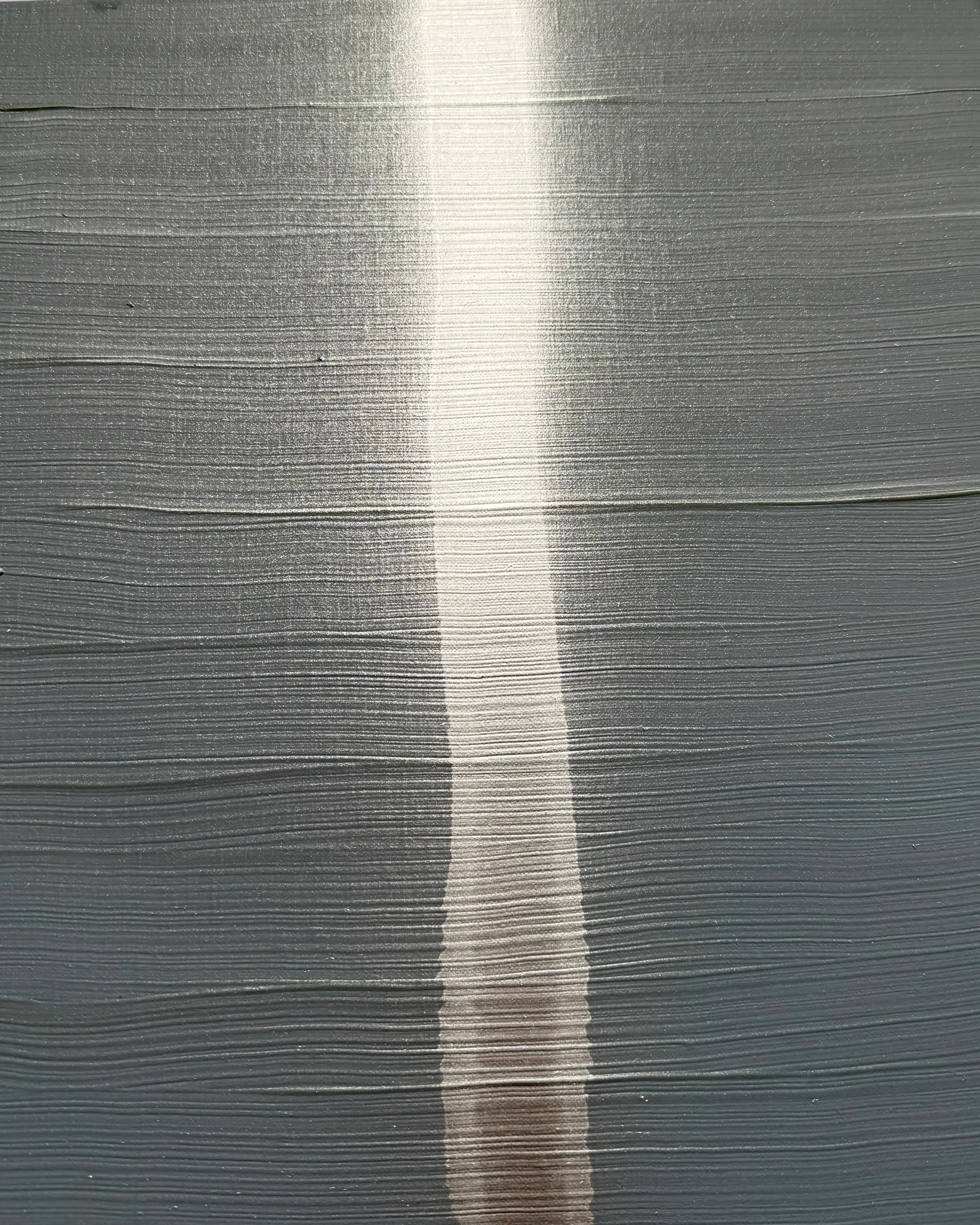 14119, John Zinsser, Ascension, 2013