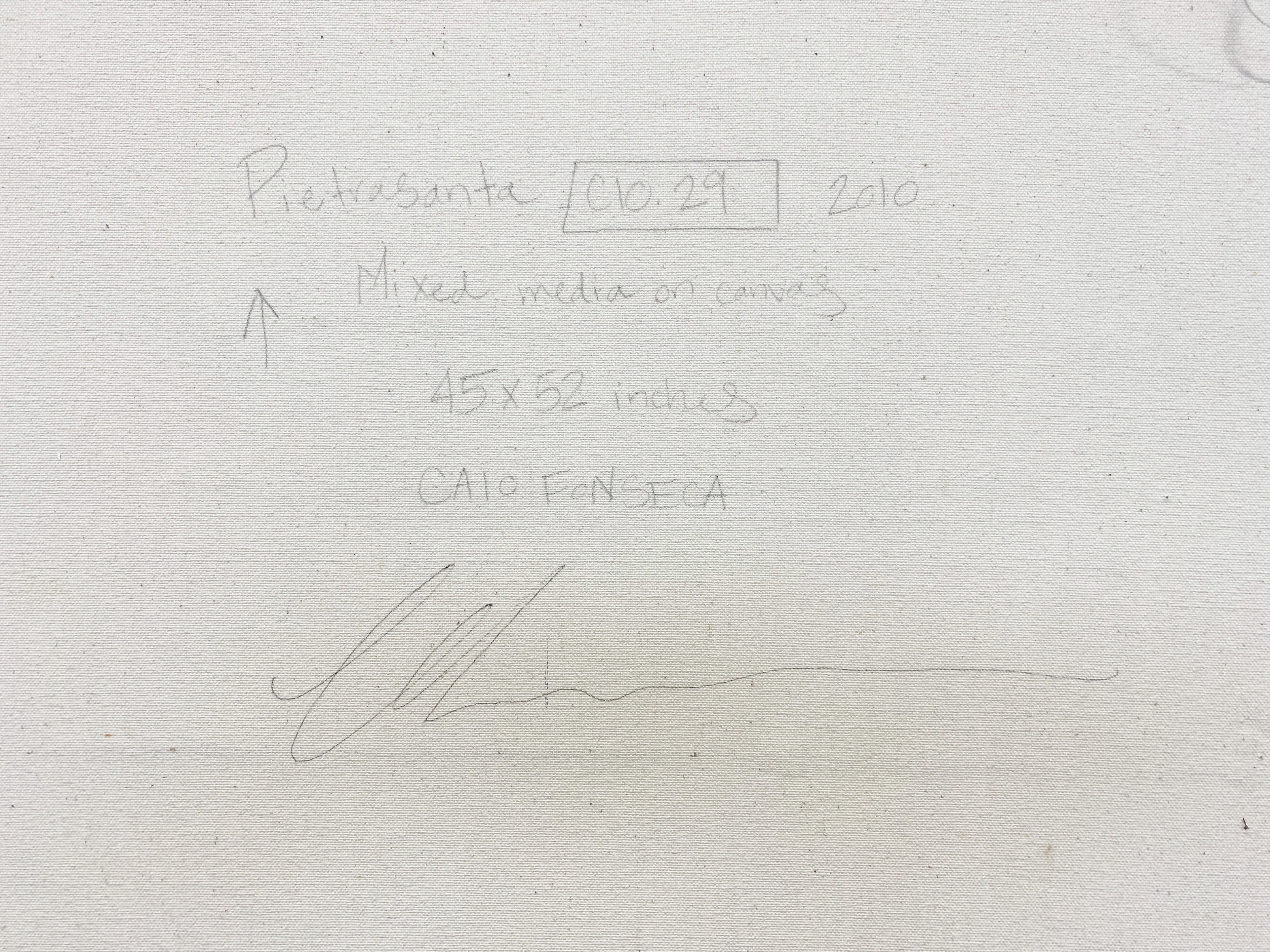 18575, Caio Fonseca, Pietrasanta C10.29, 2010