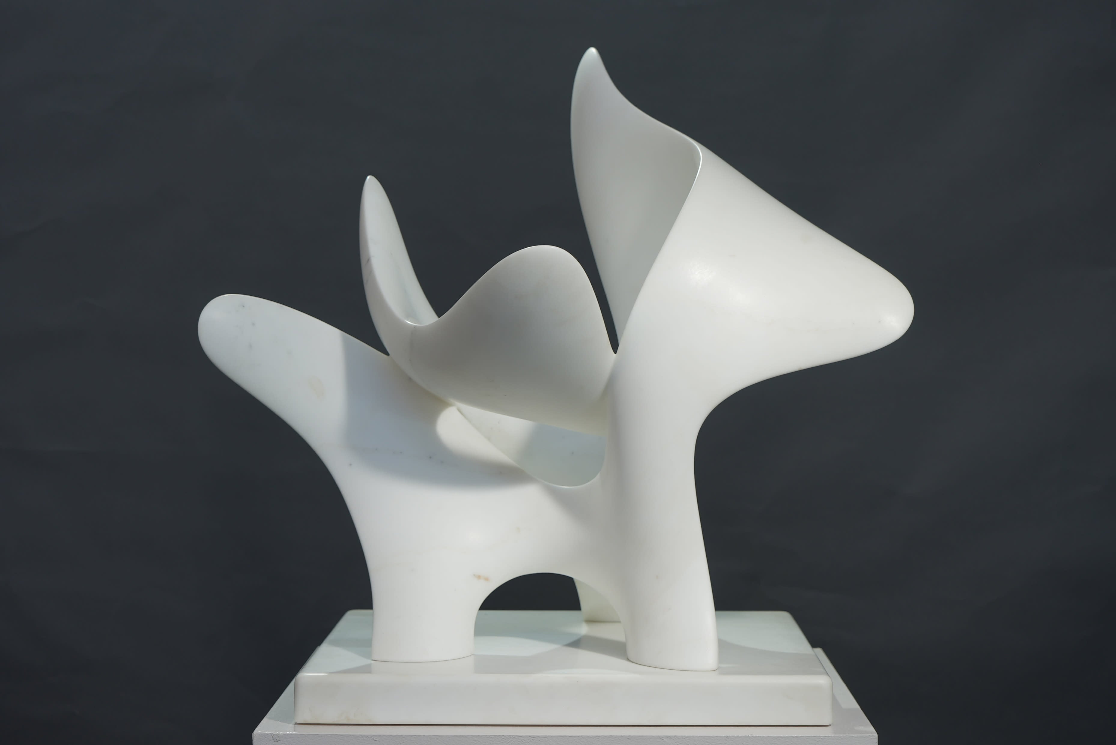 18789, Richard Erdman, Cypraea, 2020