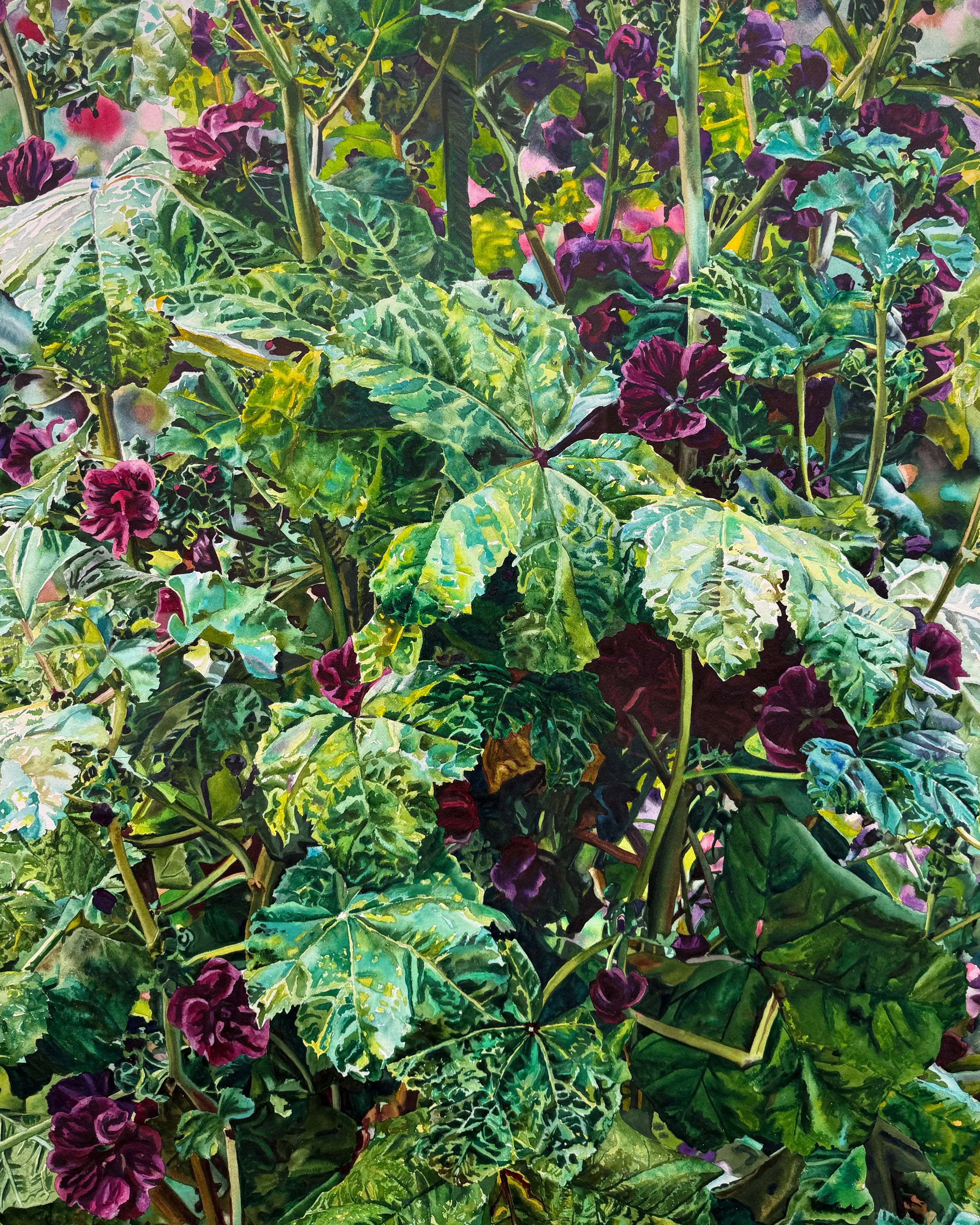18844, Carolyn Brady, Giant Purple Mallow, Giverny, 1995