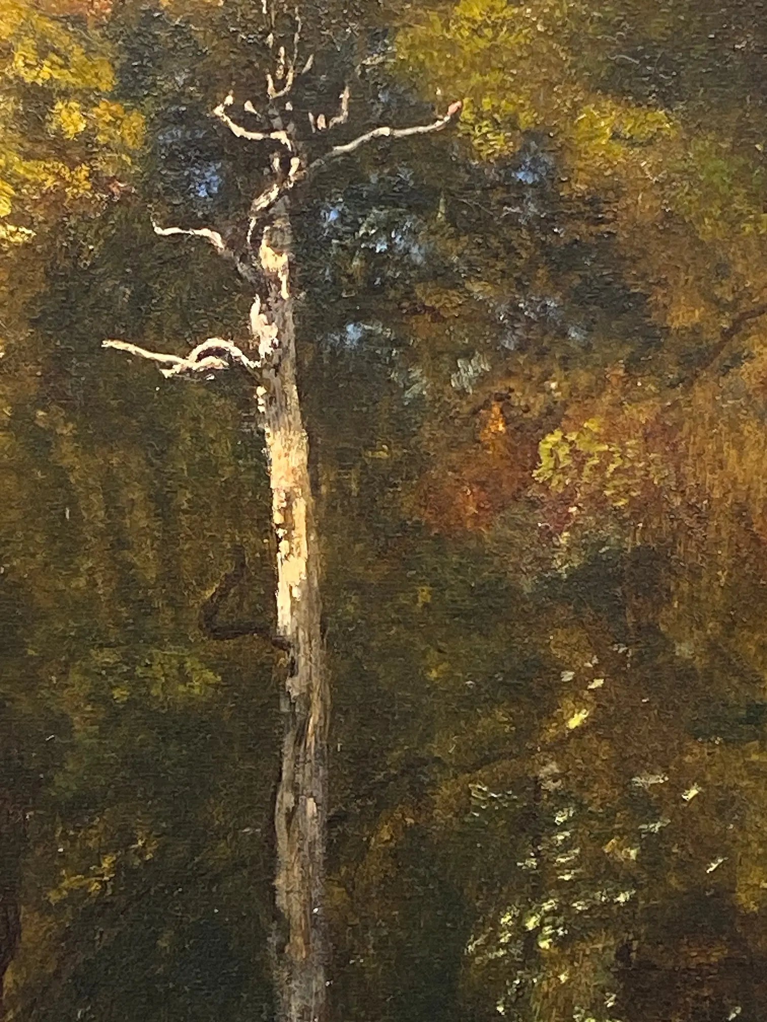 14752, Narcisse Diaz de la Pena, Sous-Bois á Fontainbleau, 1876
