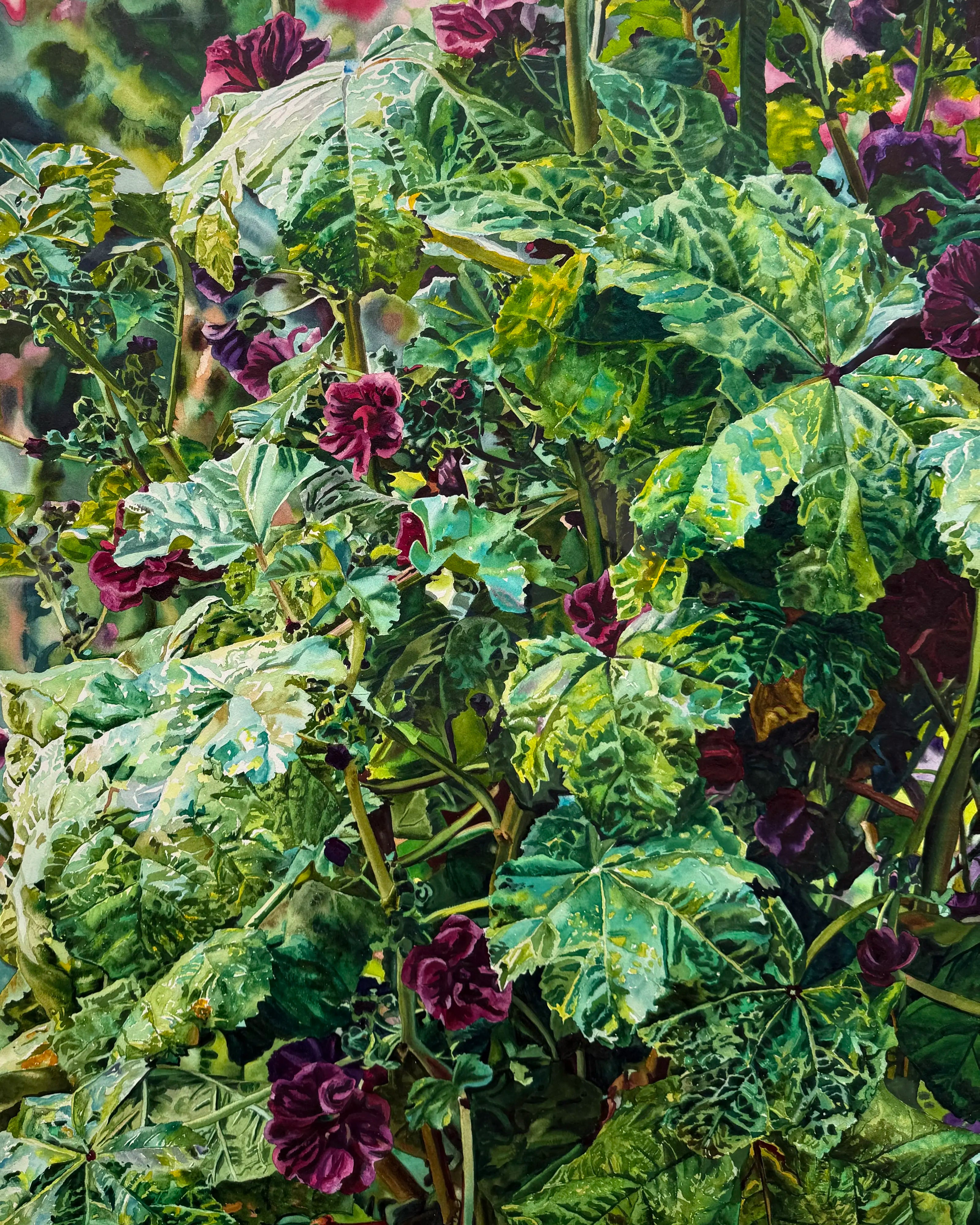 18844, Carolyn Brady, Giant Purple Mallow, Giverny, 1995