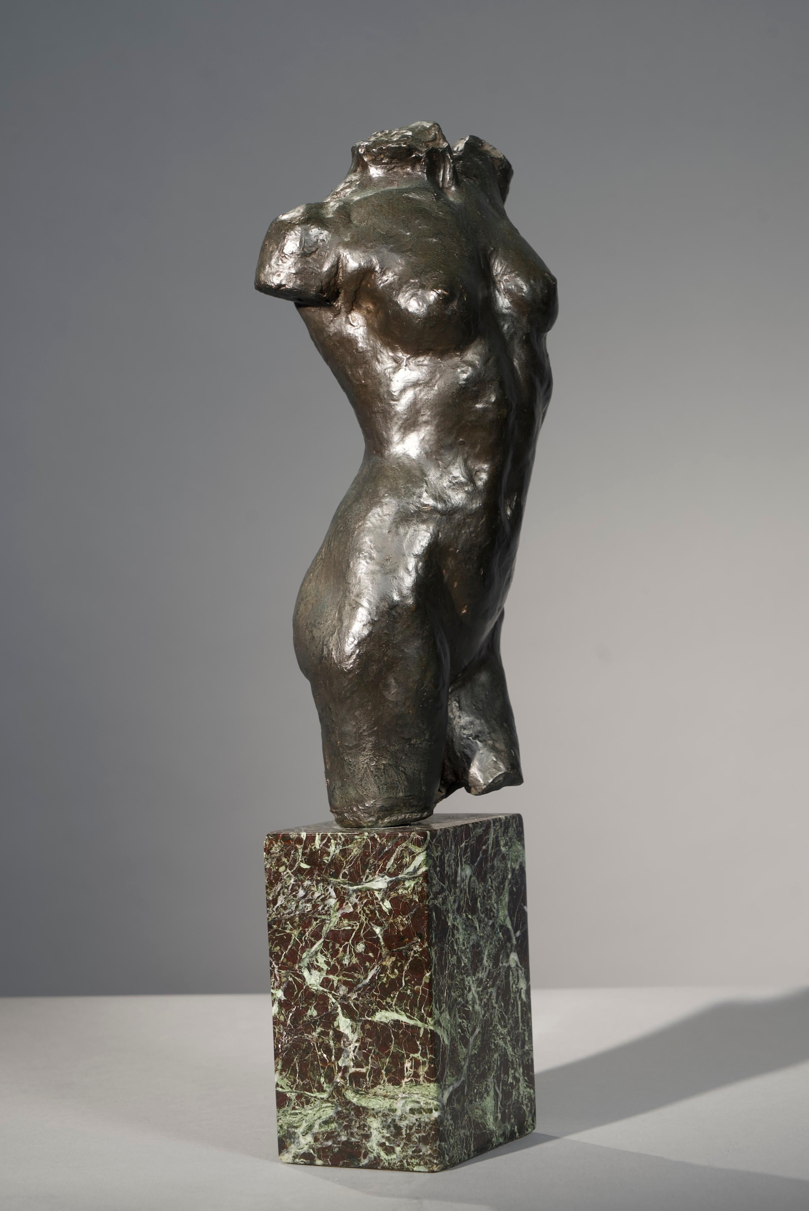 18801, Jo Davidson, Torso, 1908