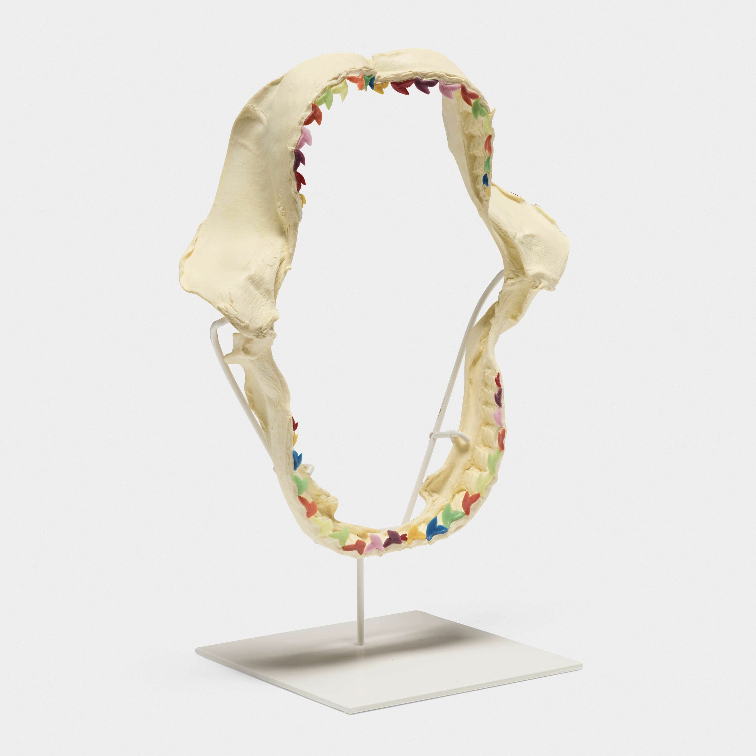 18613, Damien Hirst, Dark Rainbow, 2009