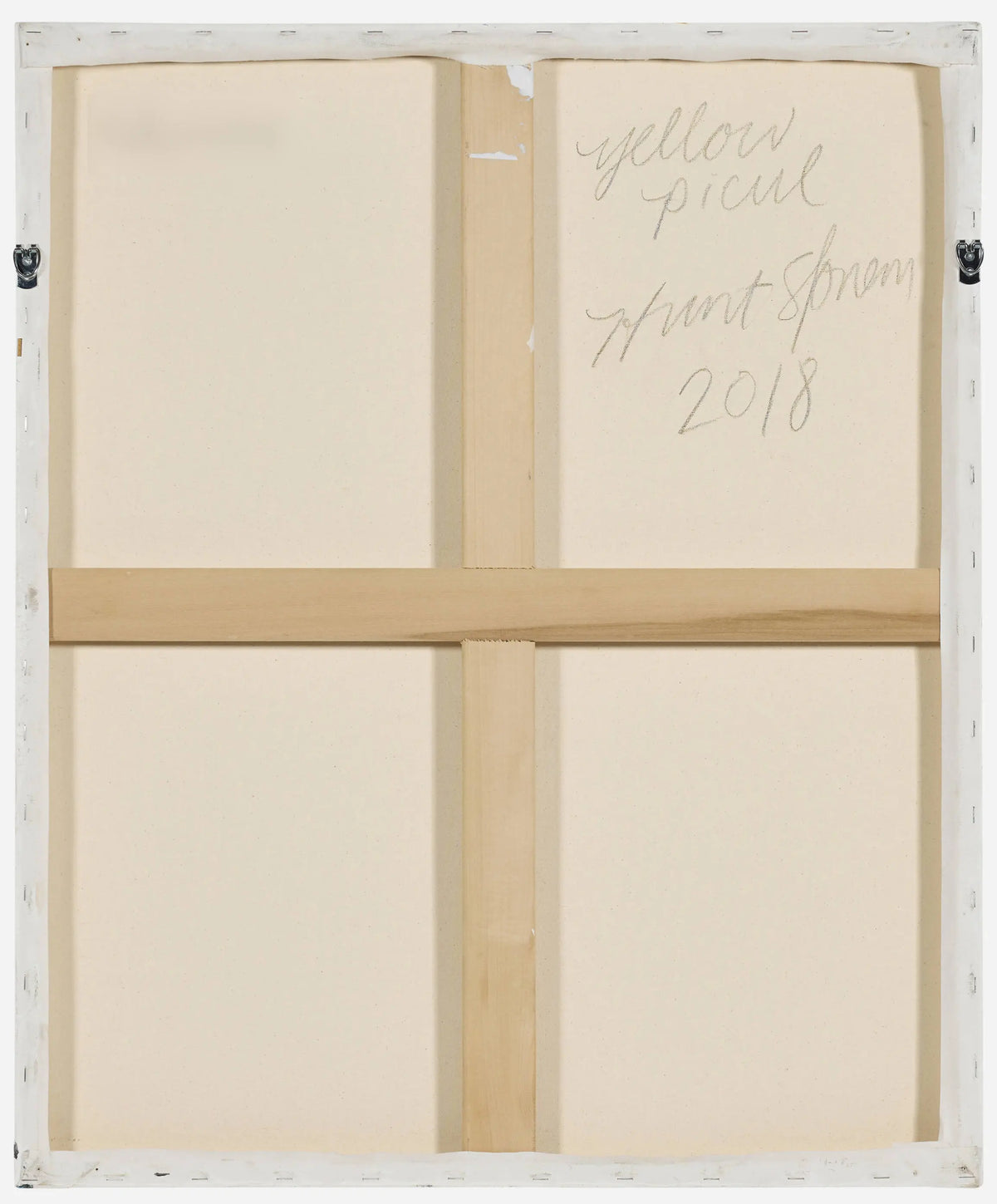 18607, Hunt Slonem, Yellow Picul, 2018