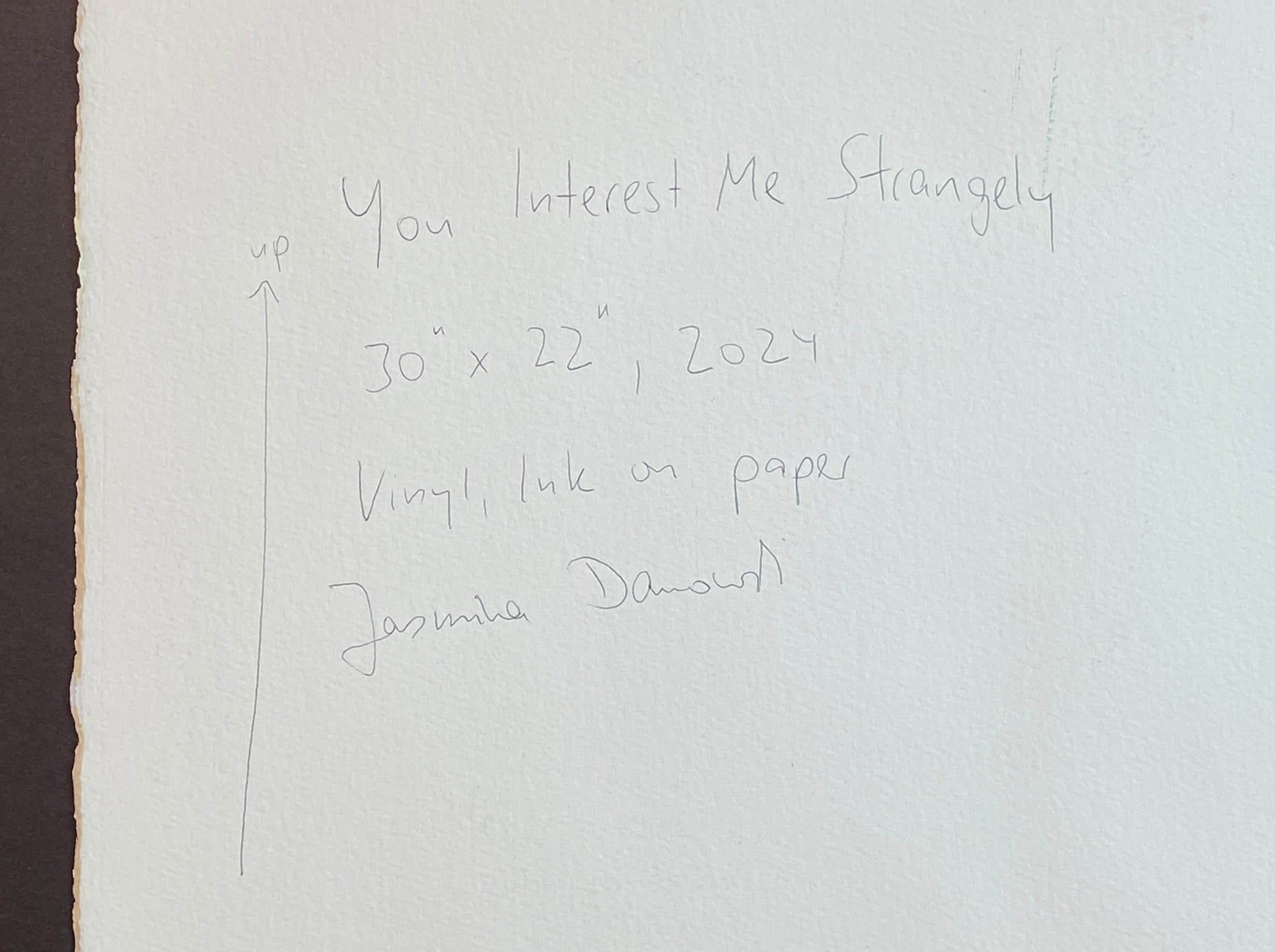 18461, Jasmina Danowski, You Interest Me Strangely, 2024