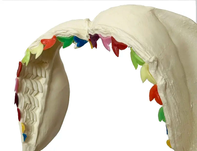 18613, Damien Hirst, Dark Rainbow, 2009