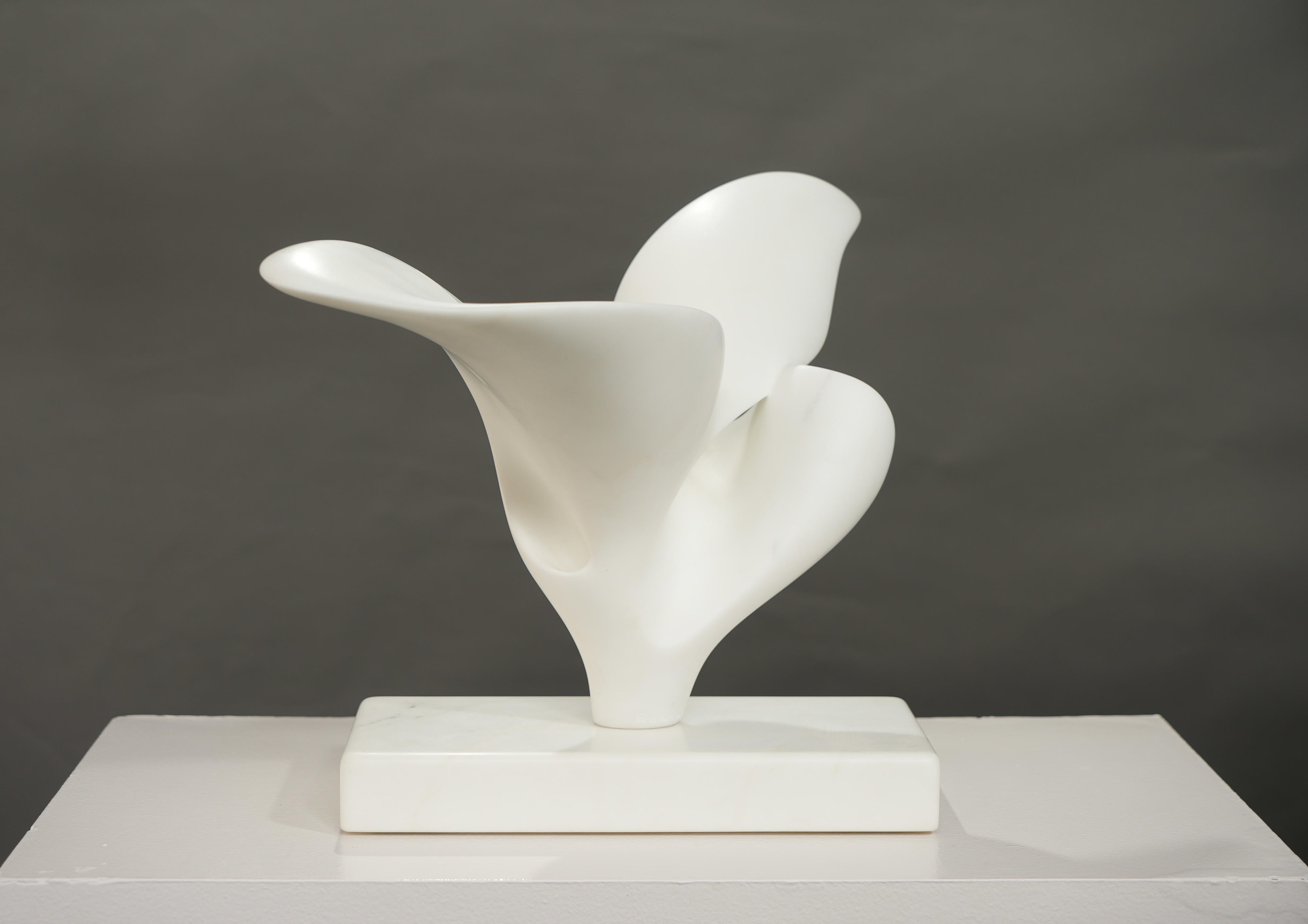 18790, Richard Erdman, Volante, 2025