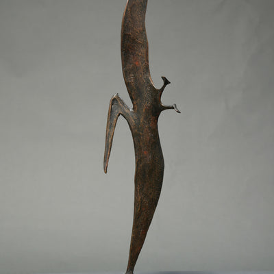 14550, Robert Cook, Pelican, 2011