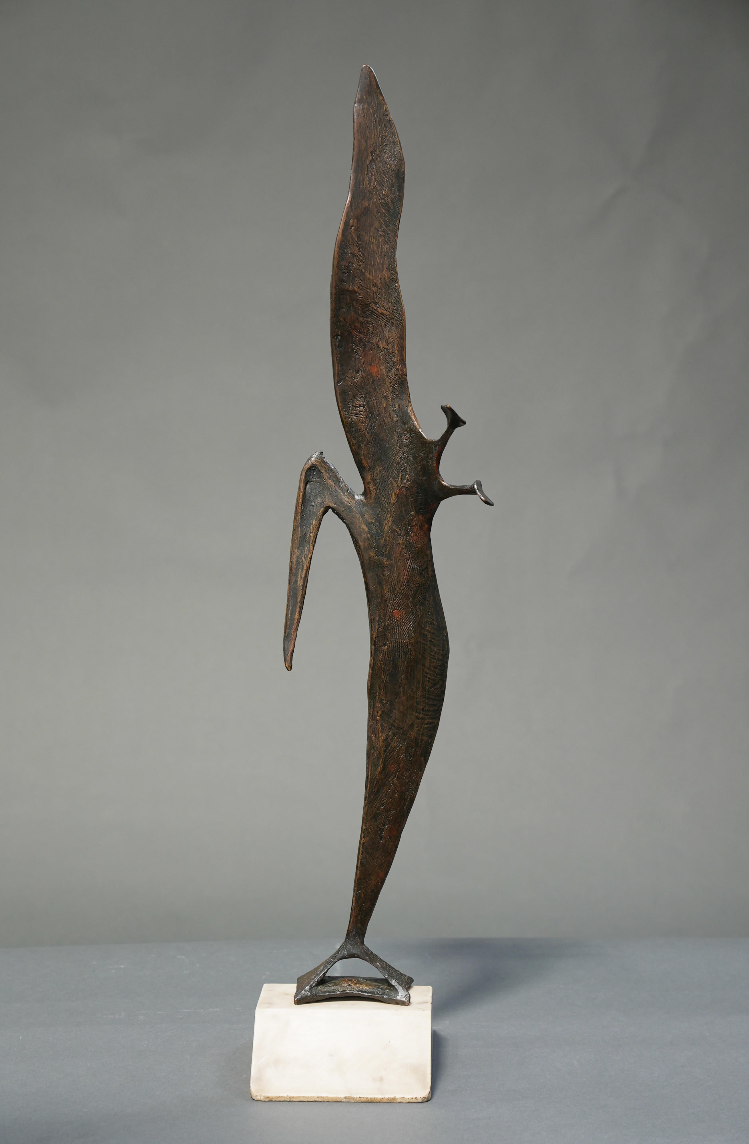 14550, Robert Cook, Pelican, 2011