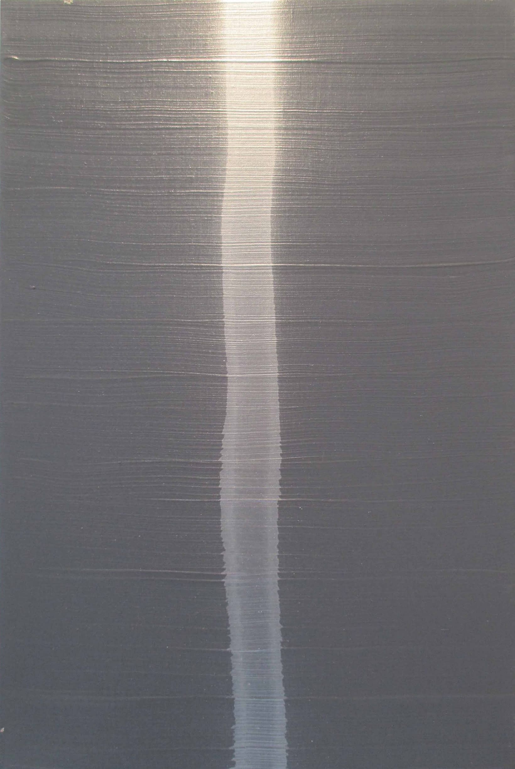 14119, John Zinsser, Ascension, 2013