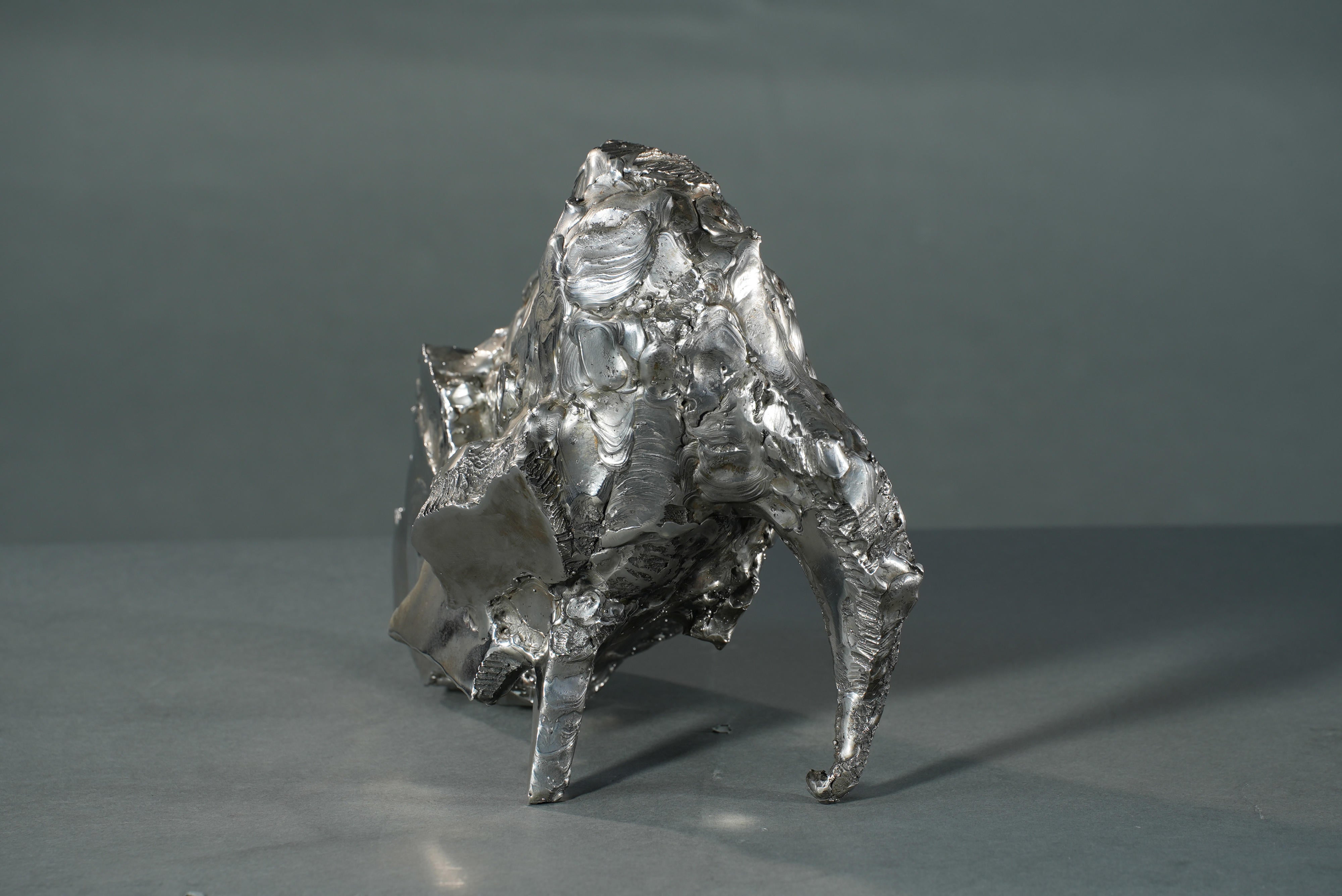 15759, Zero Higashida, Sinjin, 2010