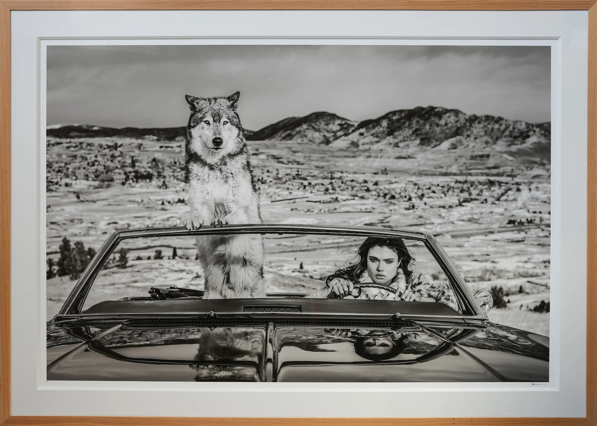 18930, David Yarrow, The Richest Hill in the World, 2020