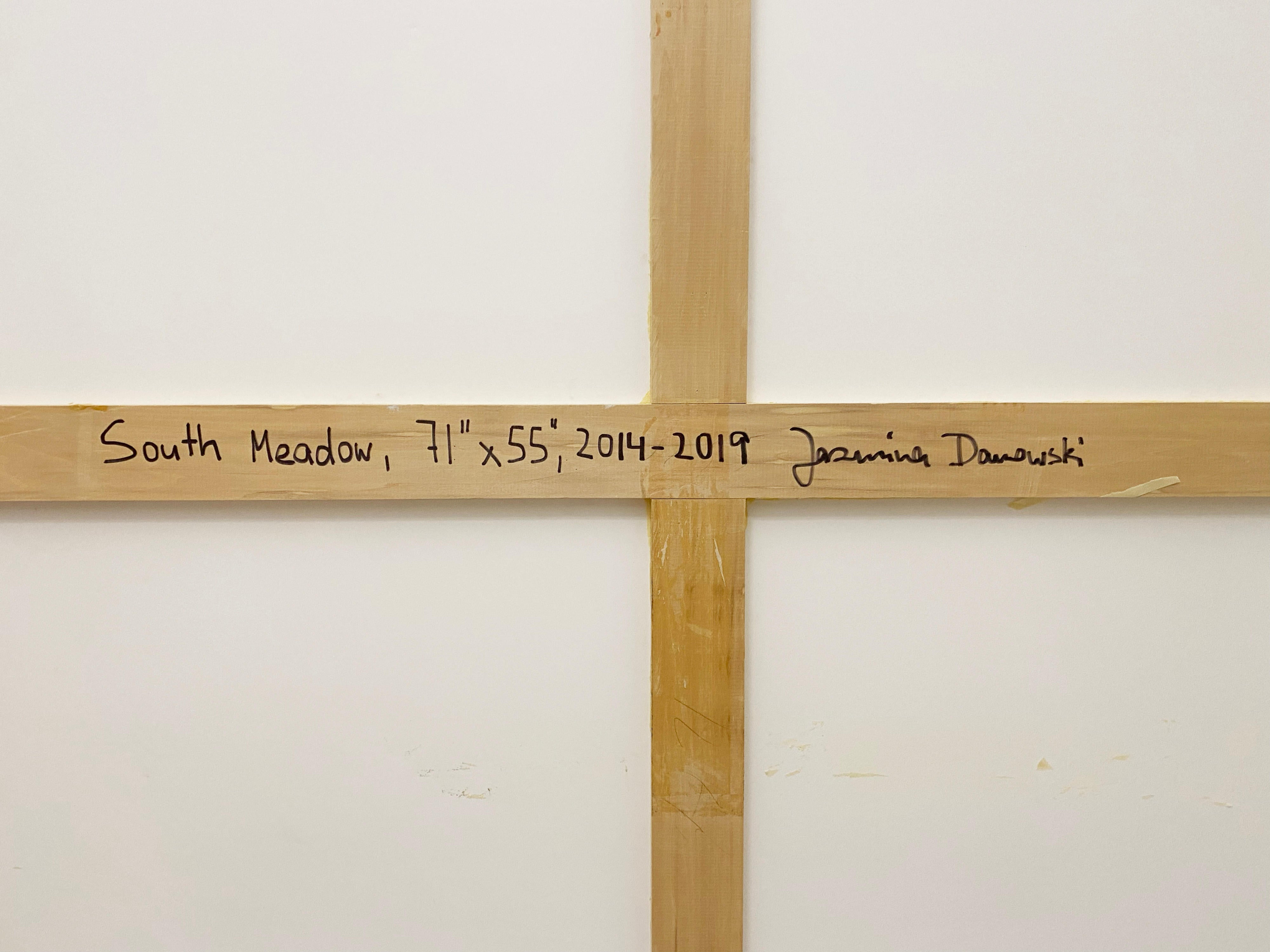 18358, Jasmina Danowski, South Meadow, 2014-2019
