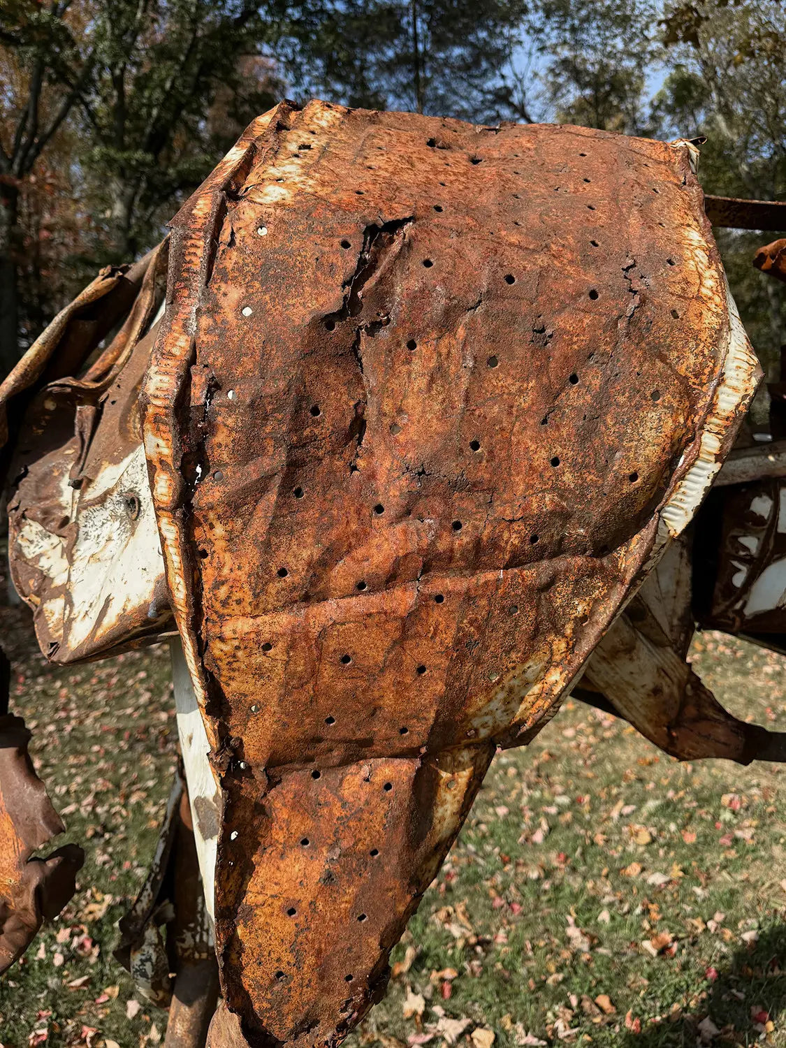 18647, Deborah Butterfield, Beatrice, 1988