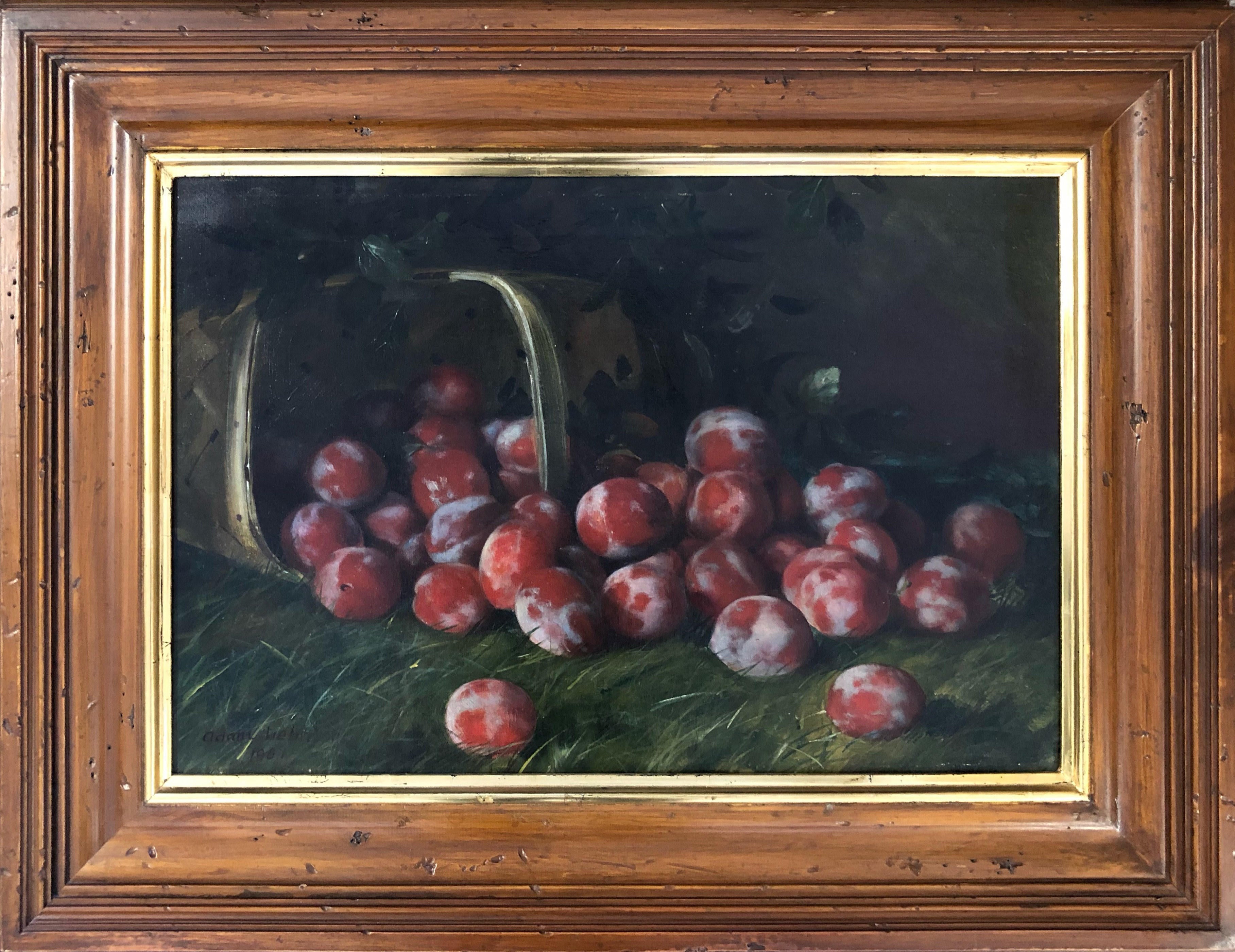 17108, Adam Lehr, Les Gros Prunes, 1901