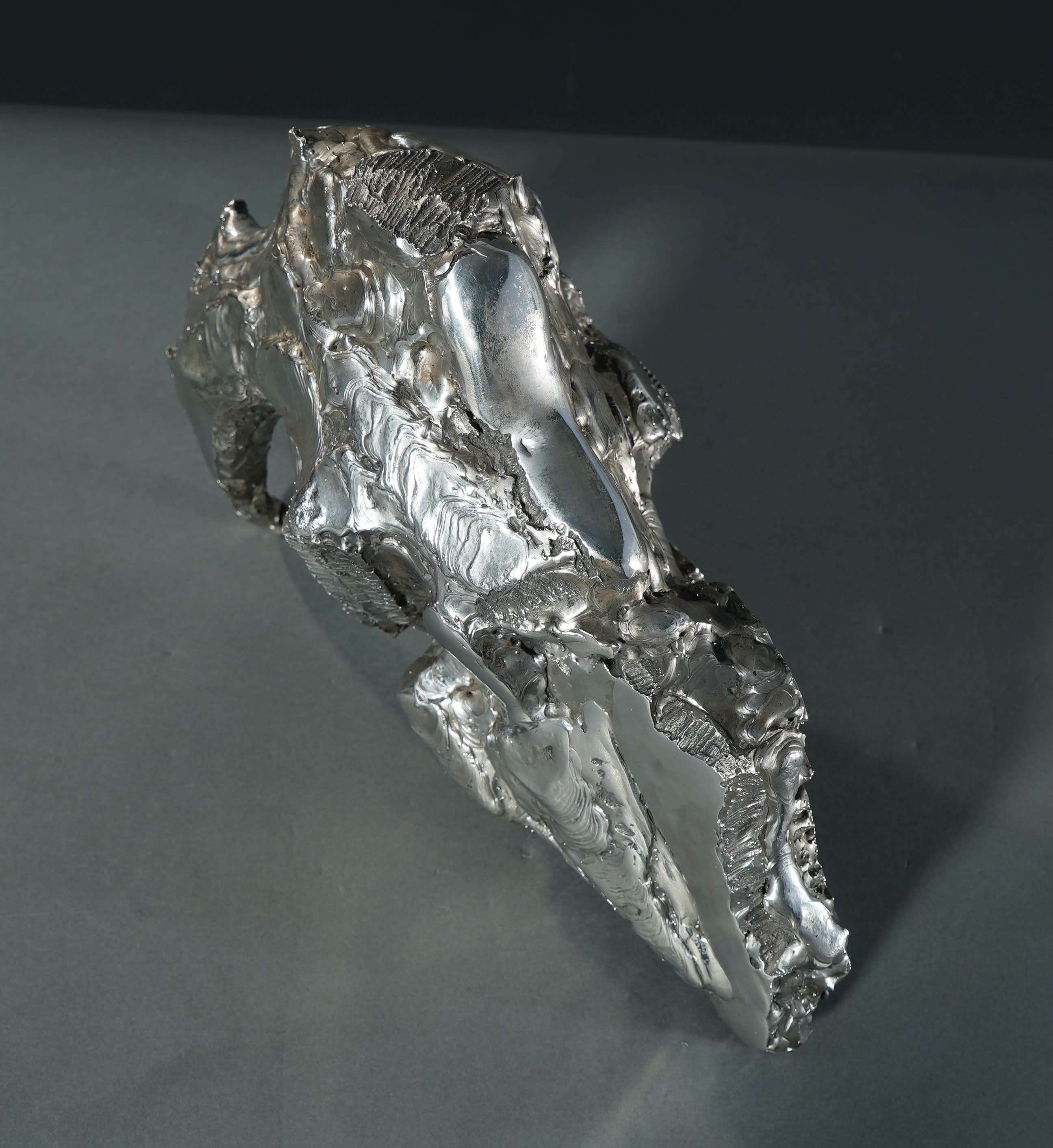 15759, Zero Higashida, Sinjin, 2010
