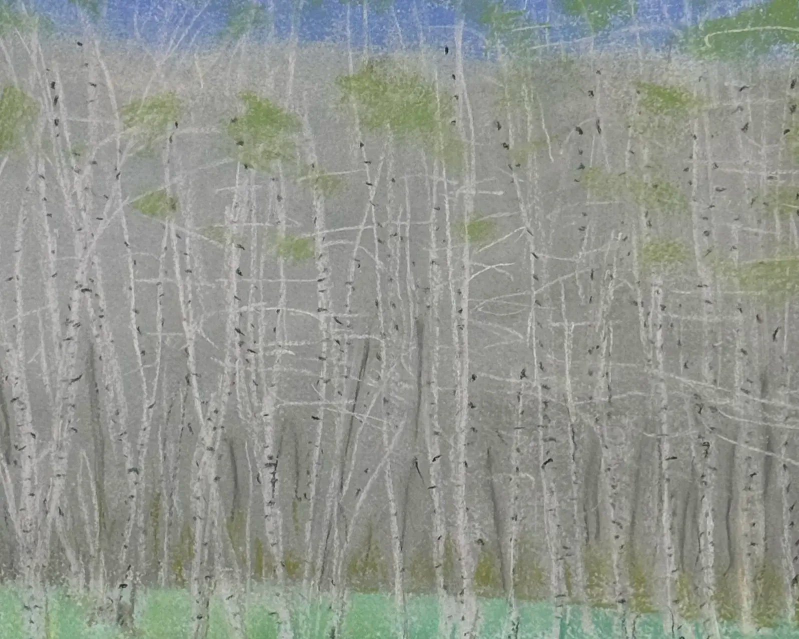 18853, Wolf Kahn, Birch Grove, 2006