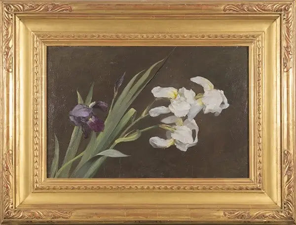 15876, Fannie C. Burr, Purple and White Iris, c. 1895