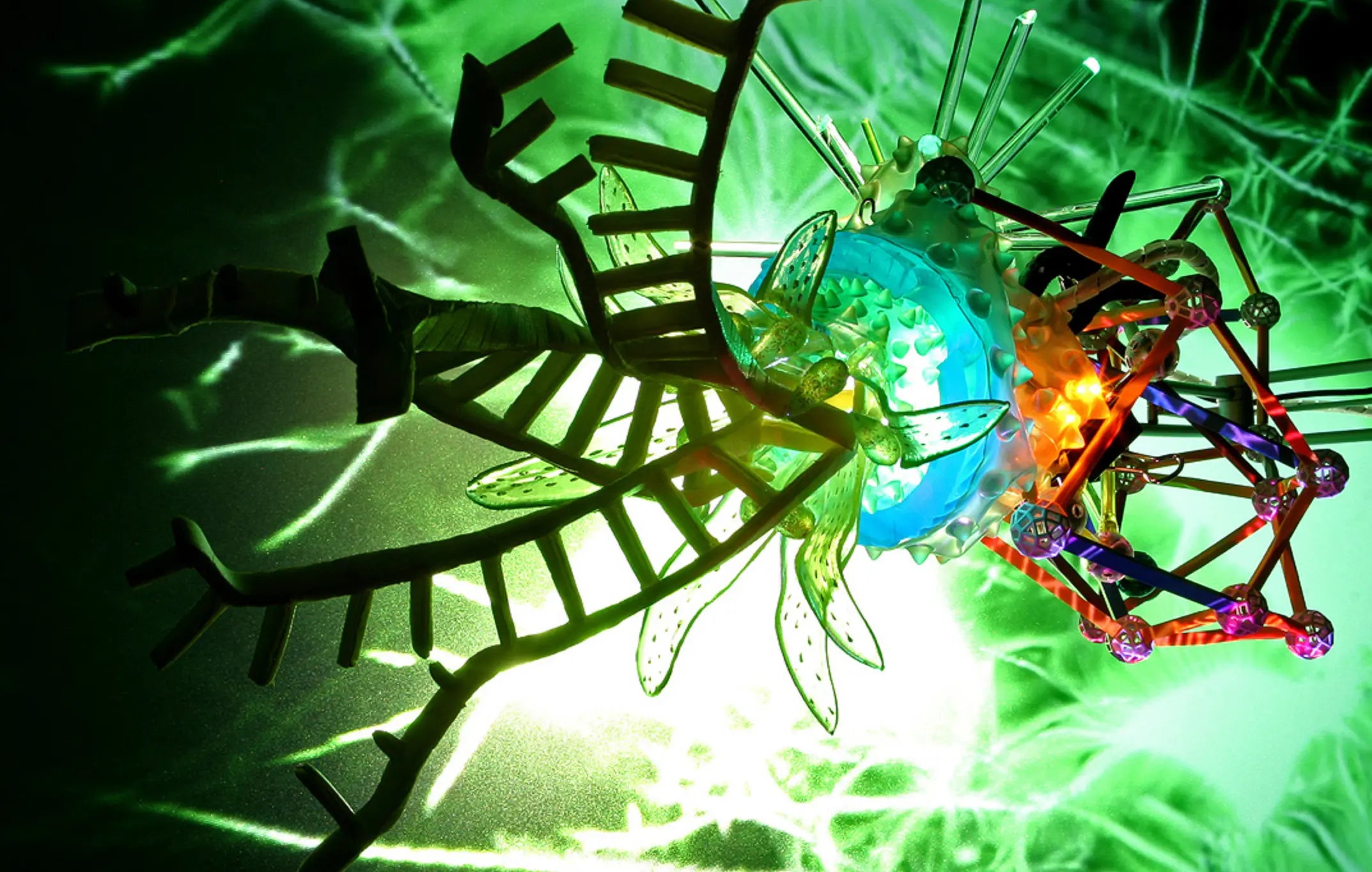 15495, Disney NASA Borg, Genetics Lite Show, #3, 2008