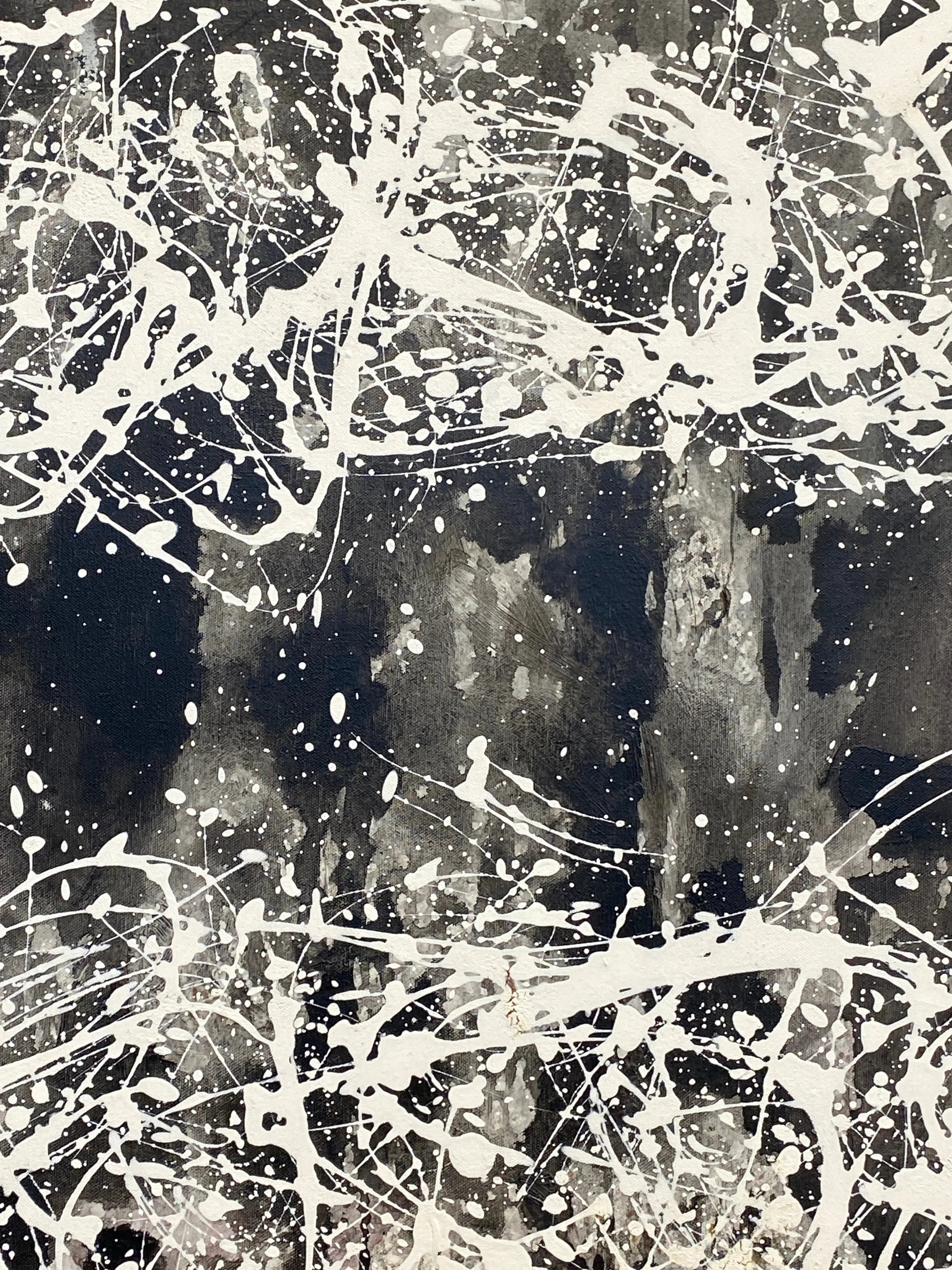18453, Kiyoshi Otsuka, Fuyu no Kiku 3