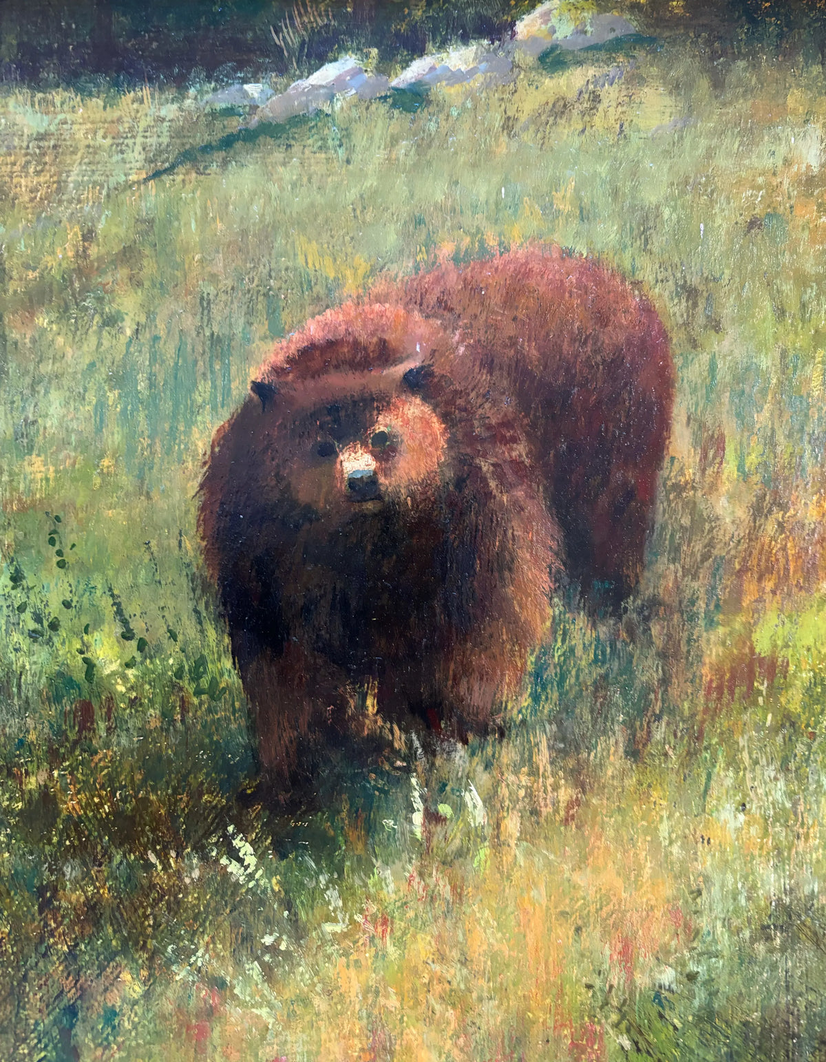 15360, Donald R. Purdy, Grizzly in the Wild, 1974, finished 1979