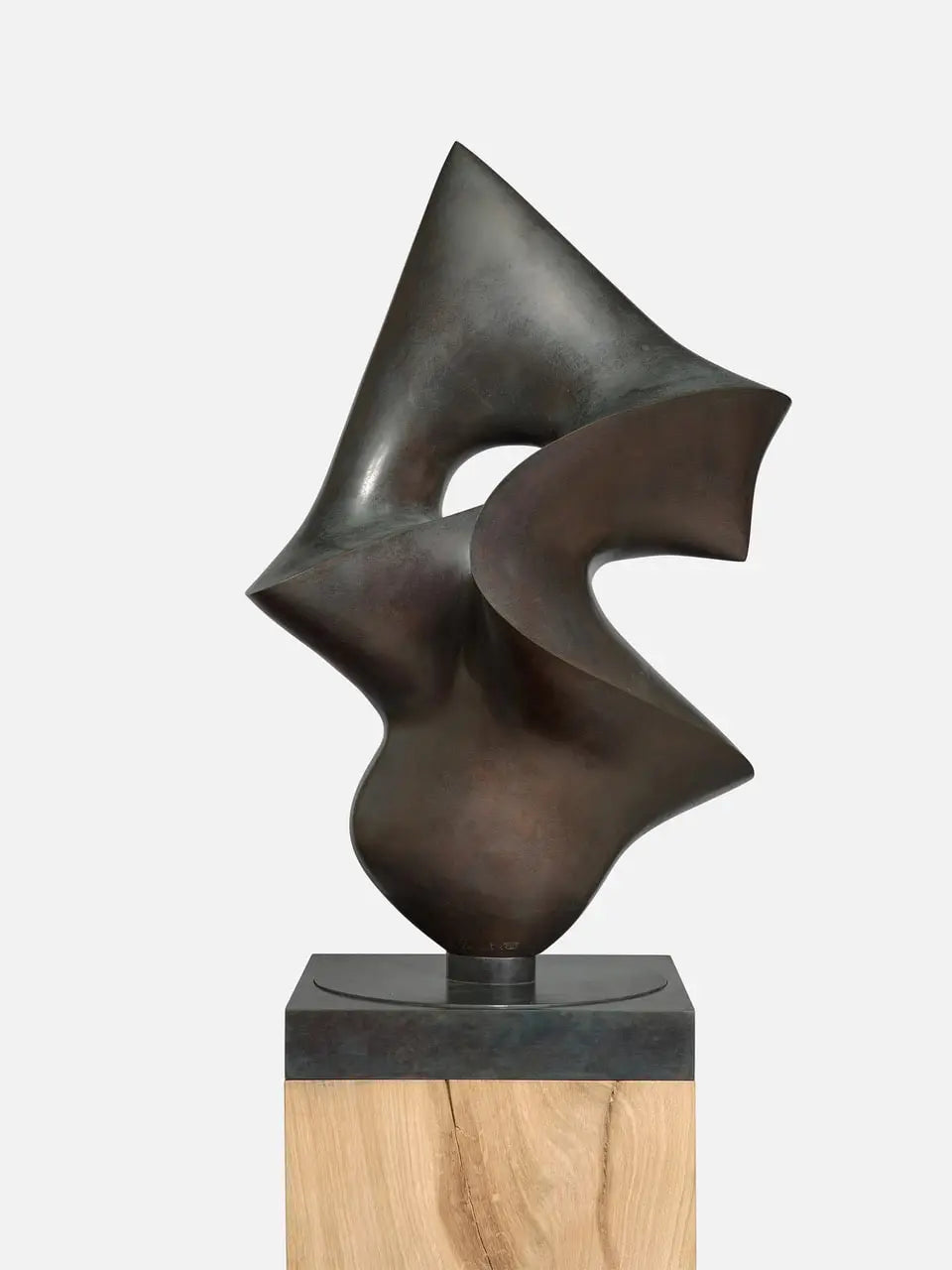 18338, Antoine Poncet, Capsienne, circa 1971