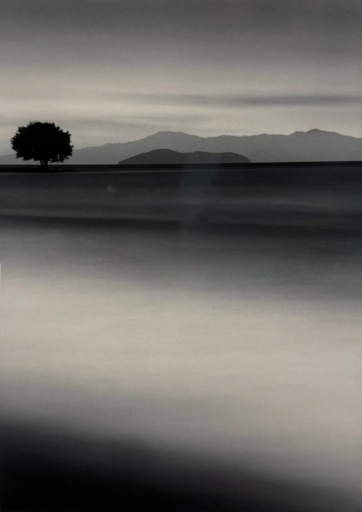 18901, Michael Kenna, Biwa Lake Tree, Omi, Japan, 2001