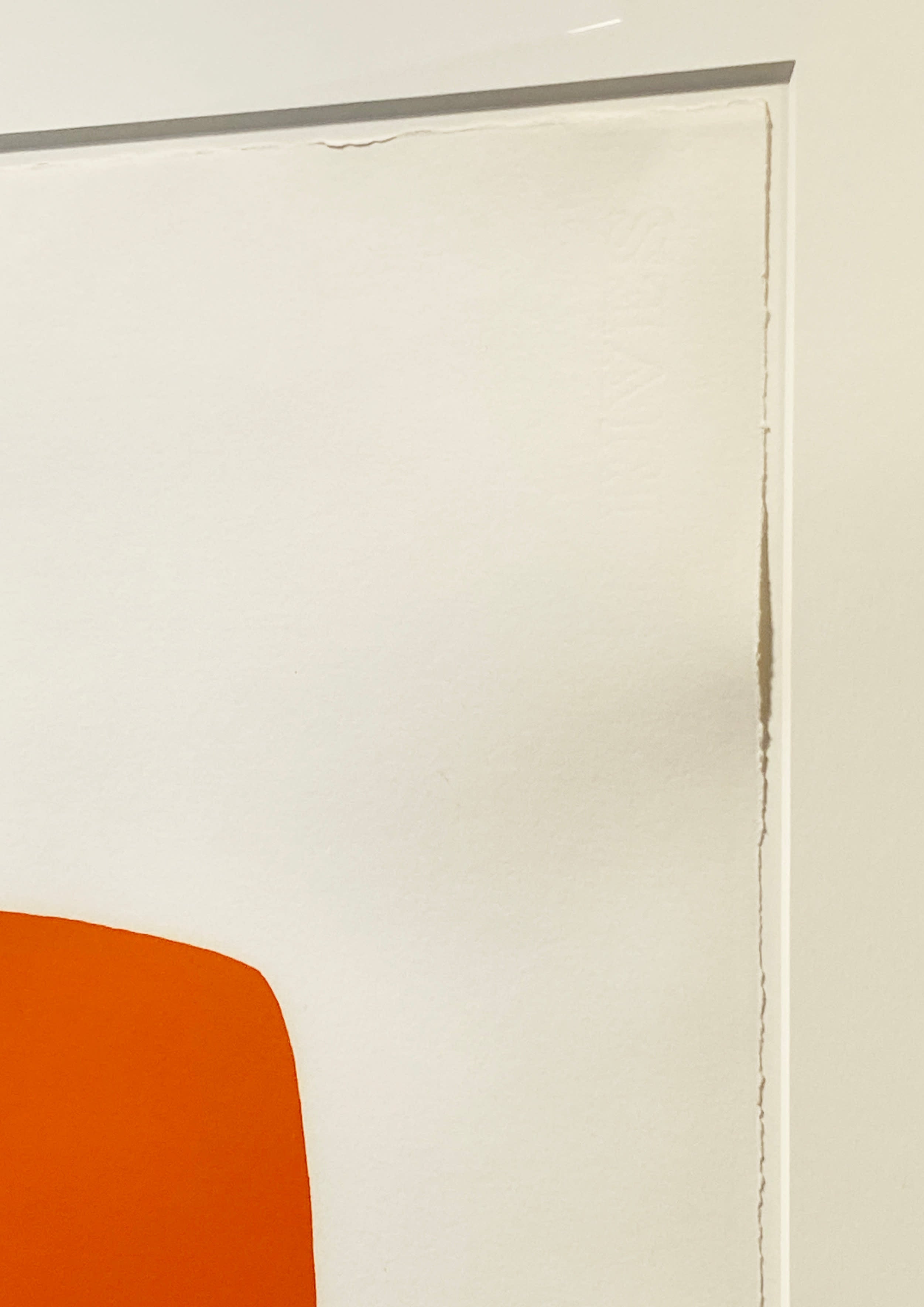 18626, Elsworth Kelly, Orange with Green, 1964-65