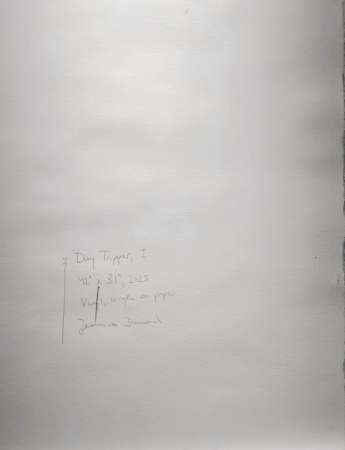 18706, Jasmina Danowski, Day Tripper, I, 2025