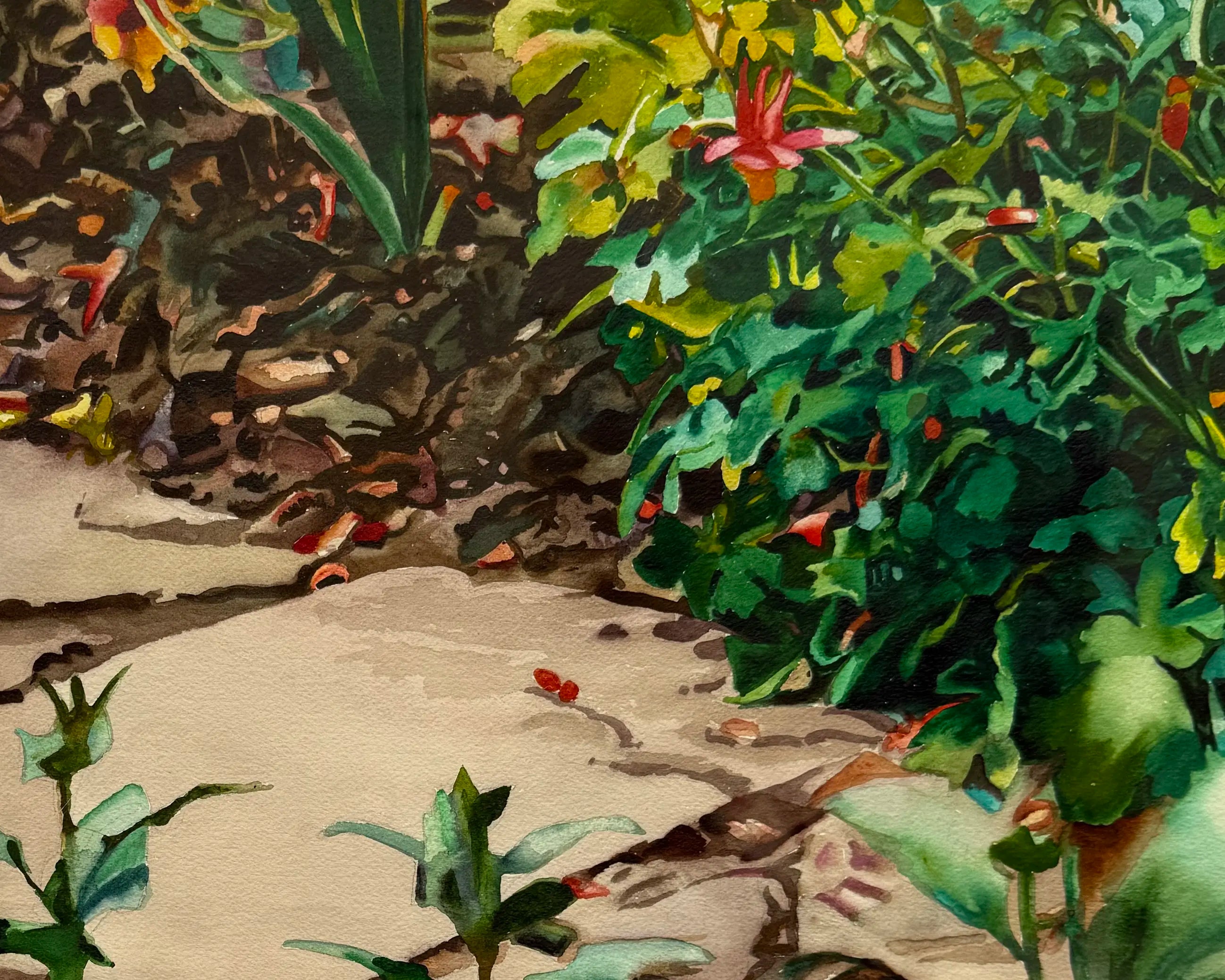 18843, Carolyn Brady, Cottage Garden/Sissinghurst, 1995