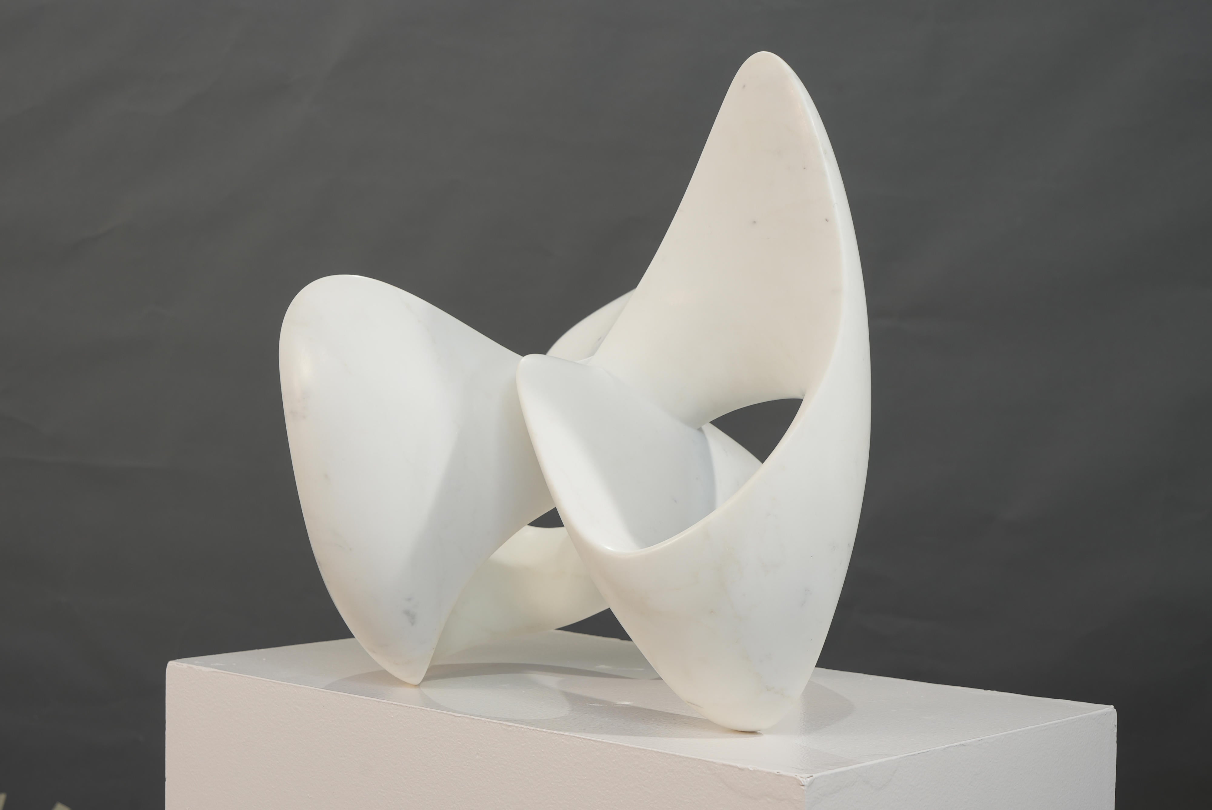 18775, Richard Erdman, Umba, 2024