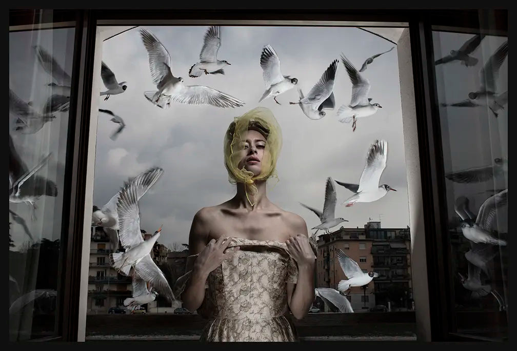 17430, Formento & Formento, Lulu’s Seagulls, Verona, (A Tryptic), 2018