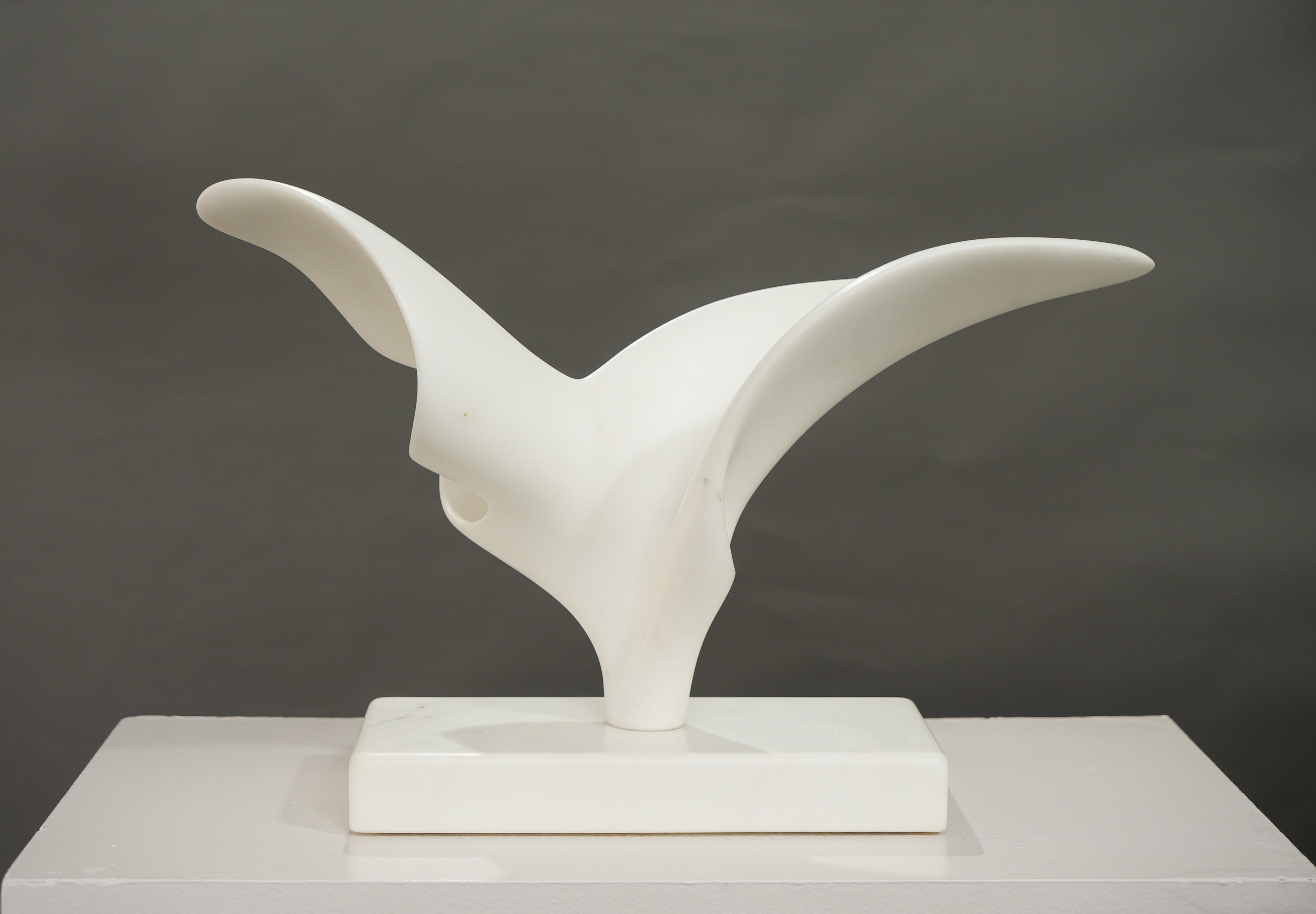 18790, Richard Erdman, Volante, 2025