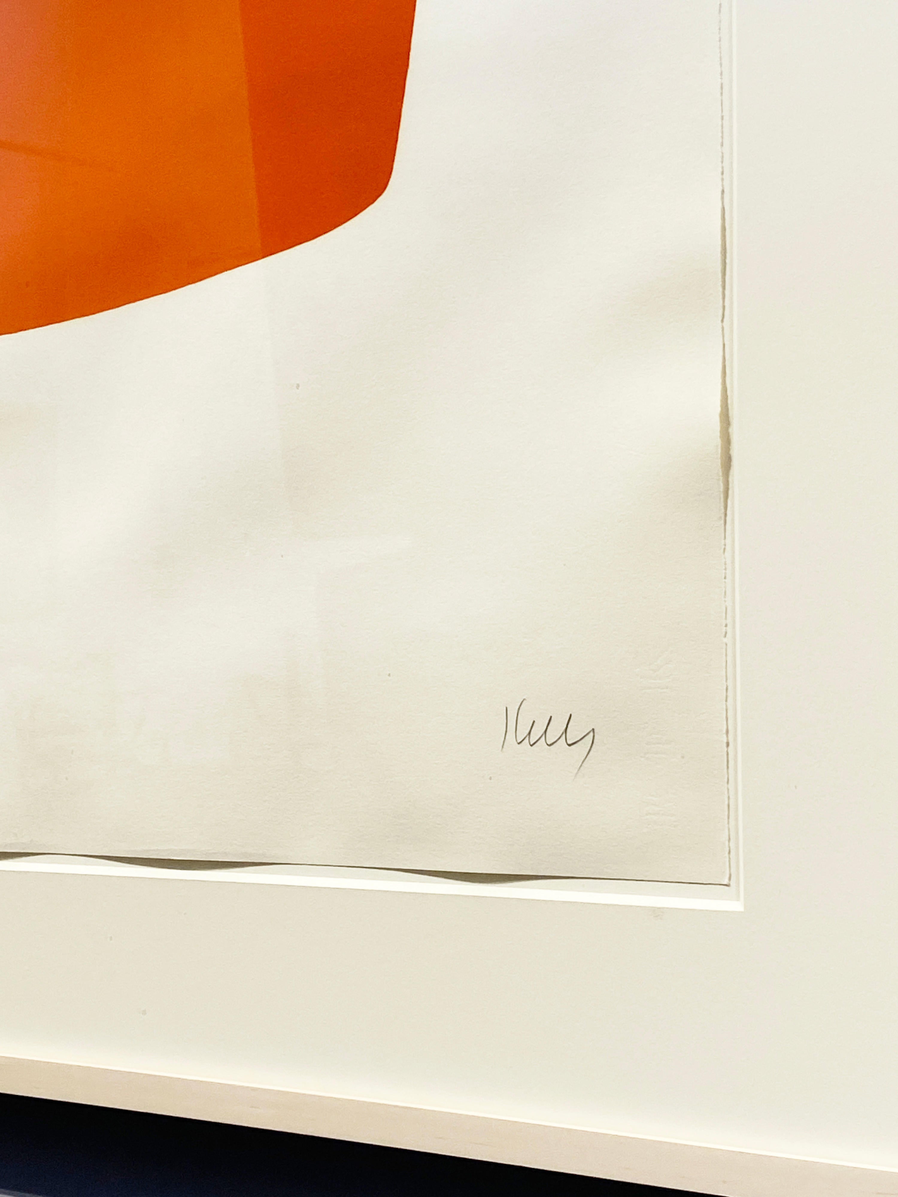 18626, Elsworth Kelly, Orange with Green, 1964-65